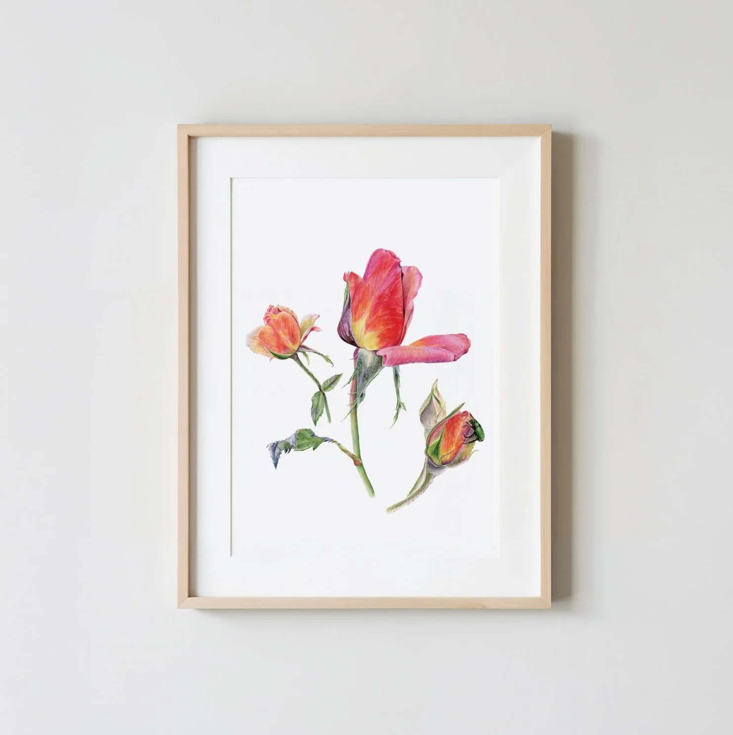Three Roses Print Prize (unframed)