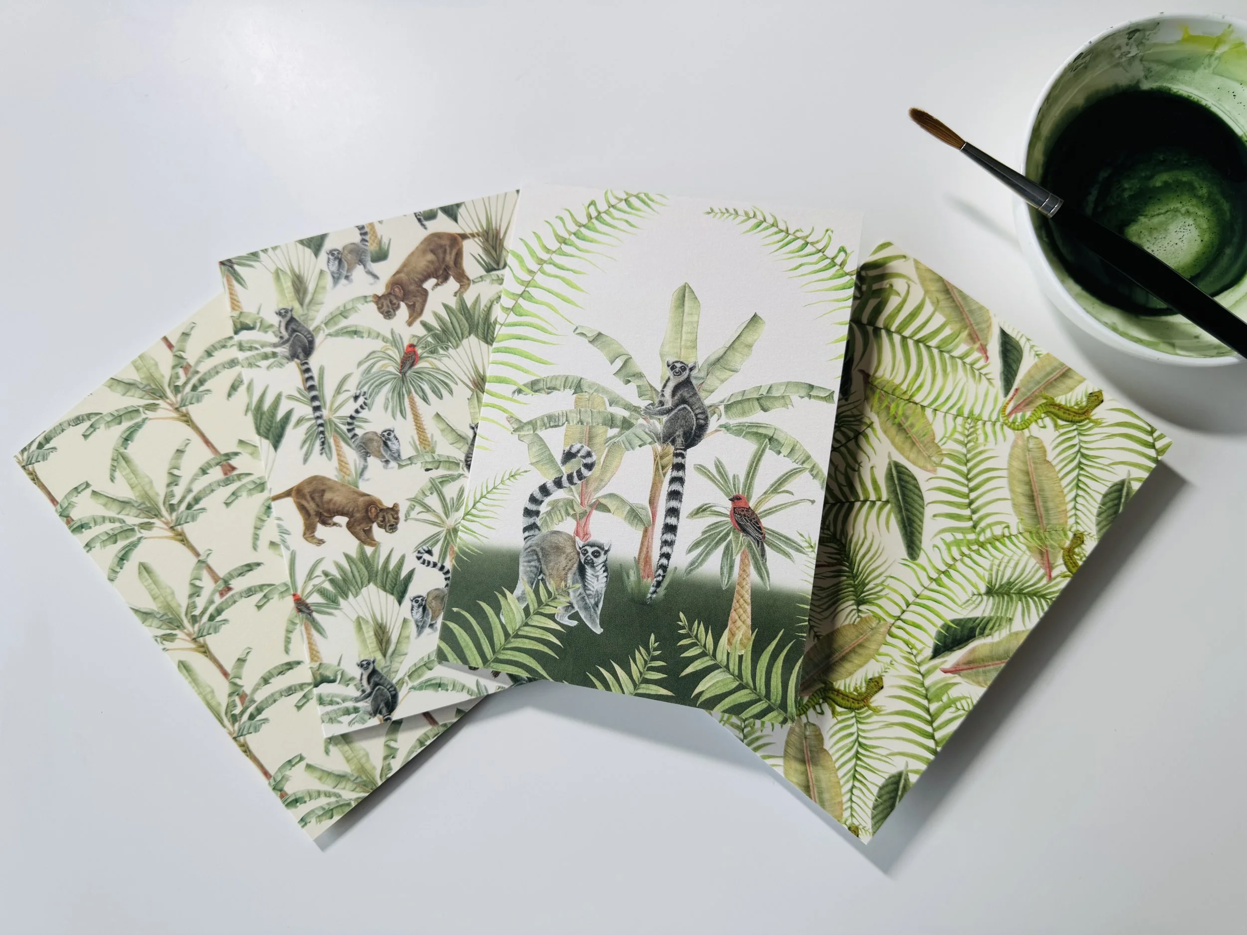 Madagascan Dream Set 
