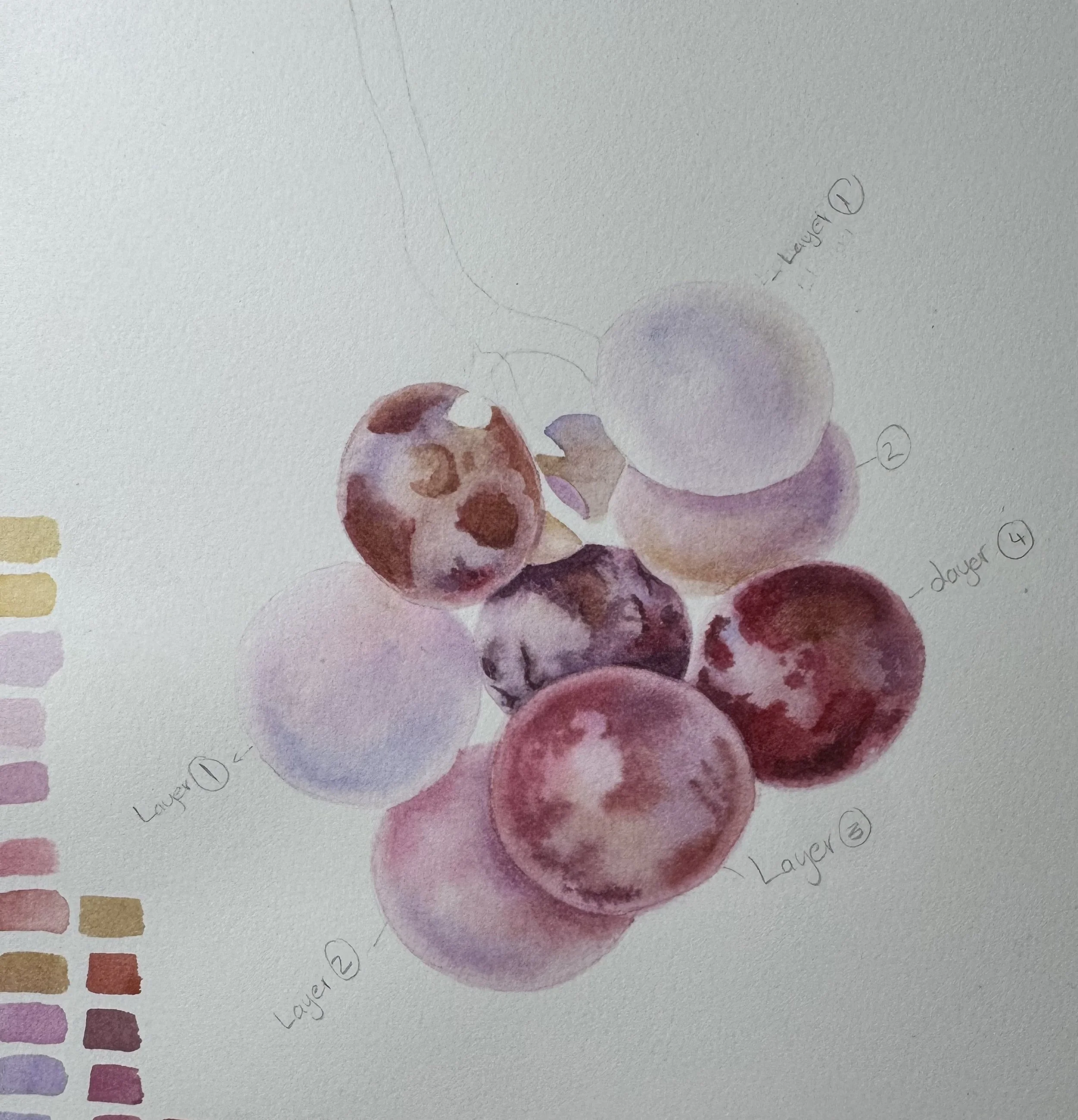 Watercolour Grape Lesson 