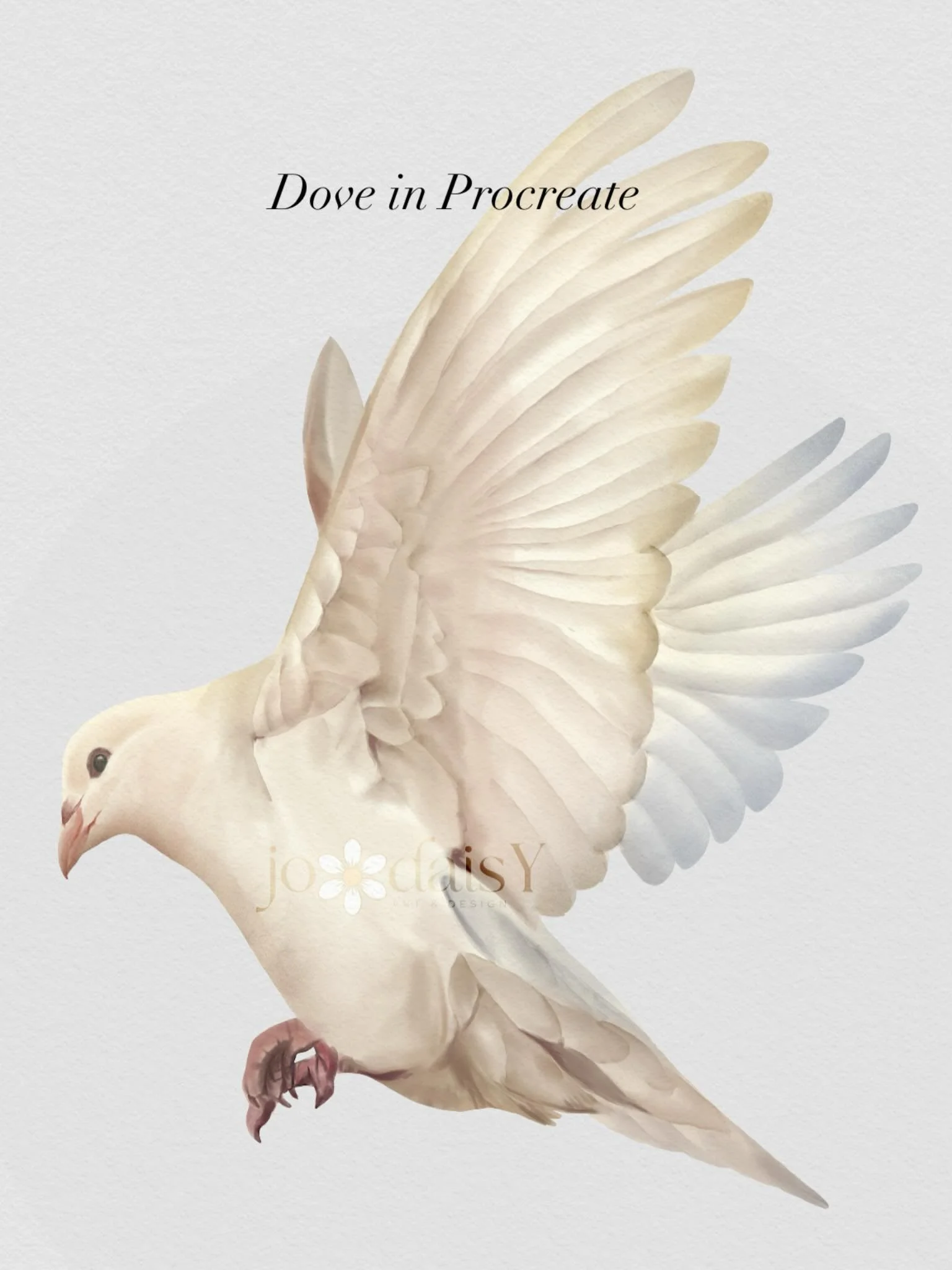 I&rsquo;m doing a series of doves in Procreate.
#jodaisyart #dovesofinstagram #joyandpeace #nftartist #birdsofinstagram
