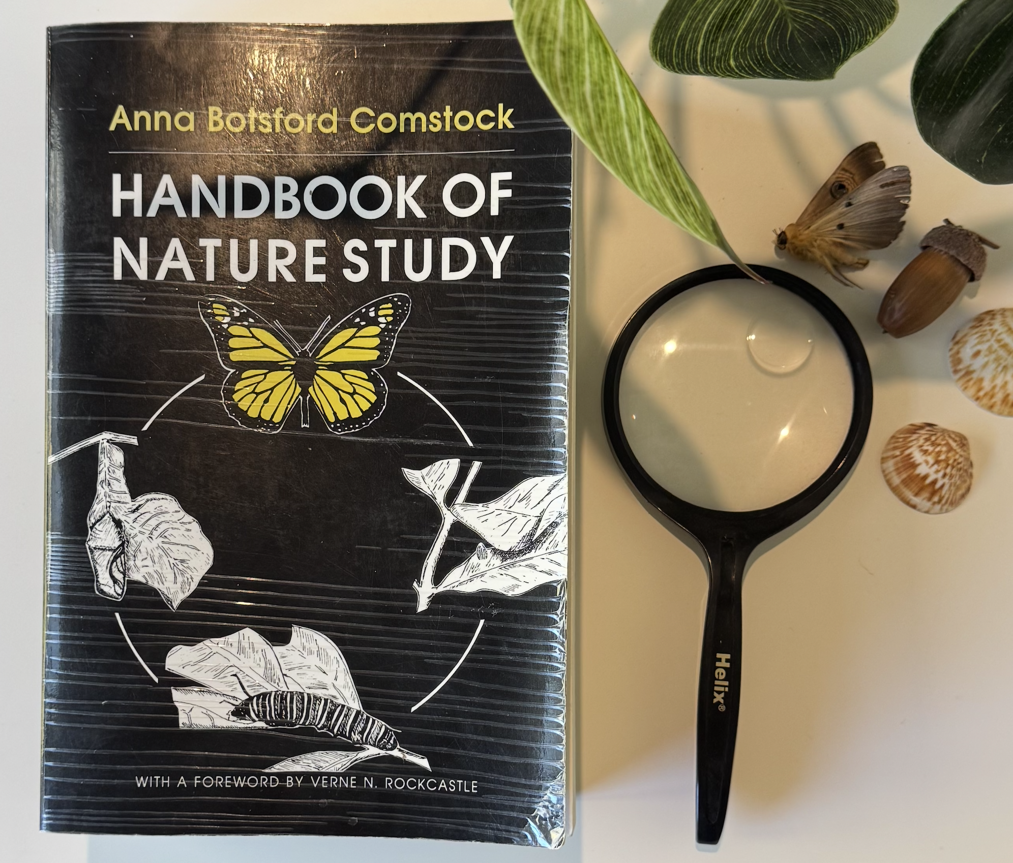 Handbook of Nature Study cover.png