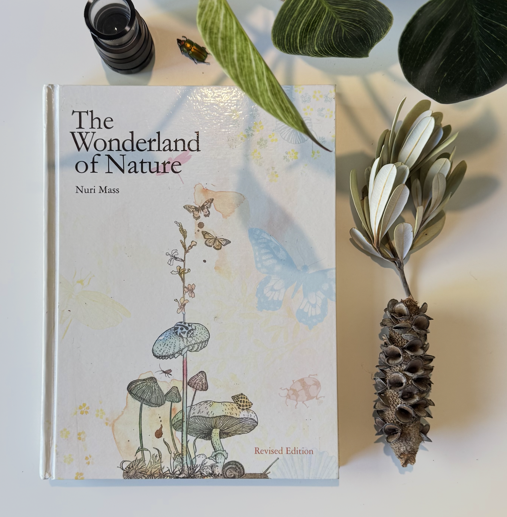Wonderland of nature Cover.png