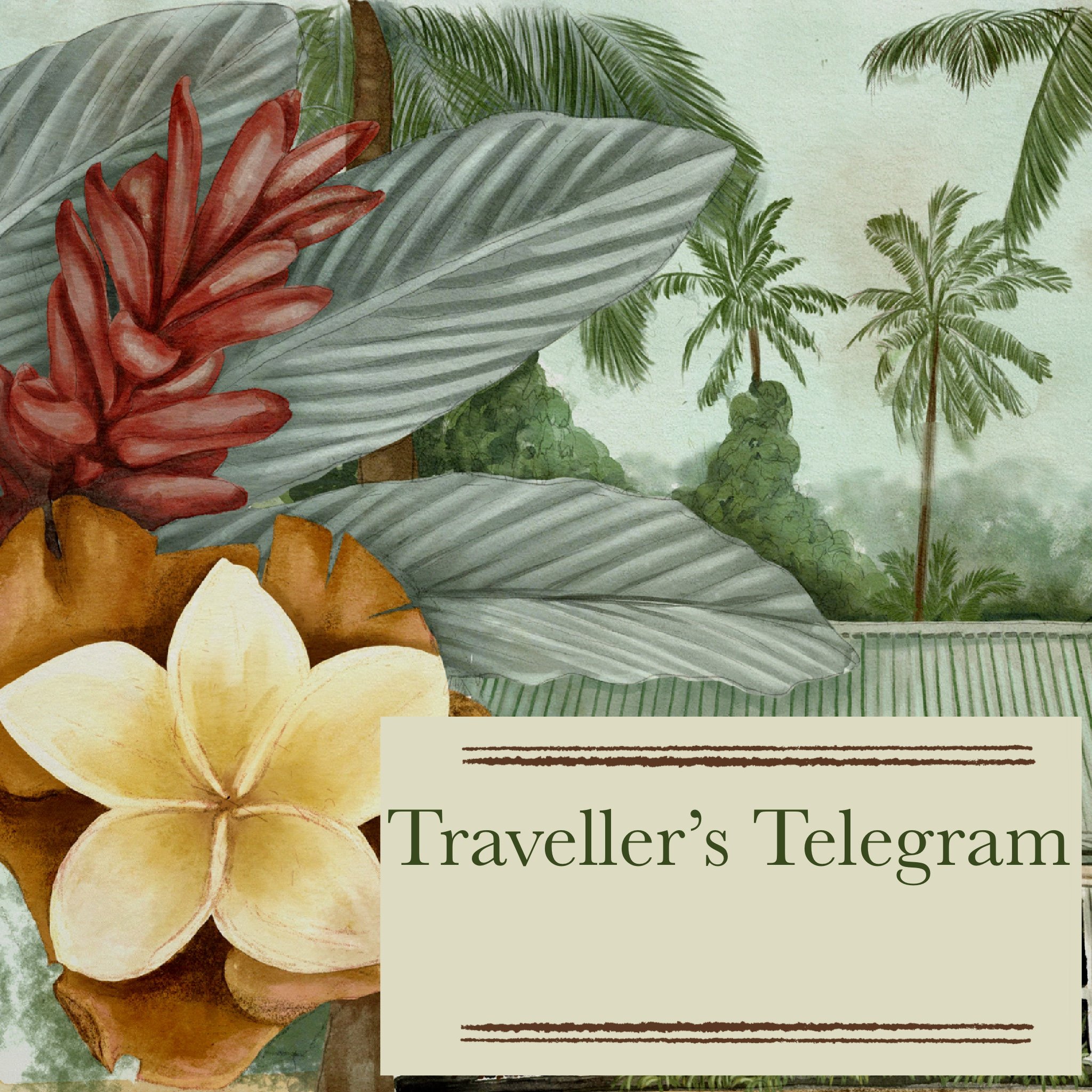 The Traveller’s Telegram print mail club is open!