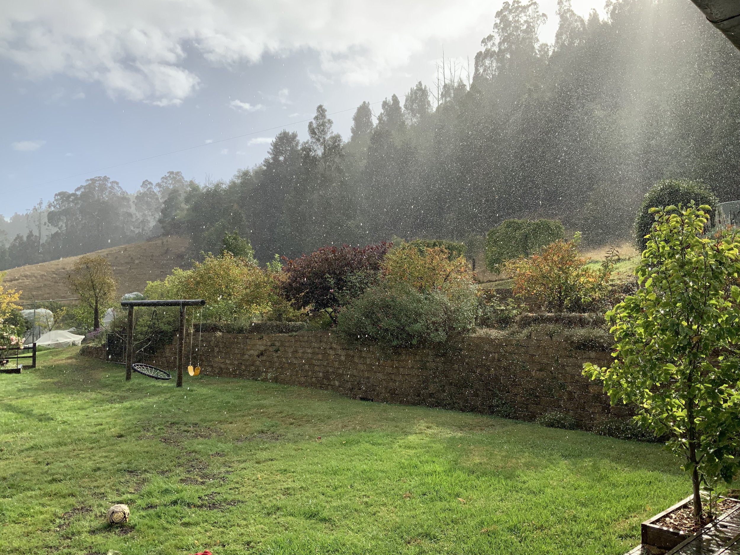 Farm Garden View.jpeg