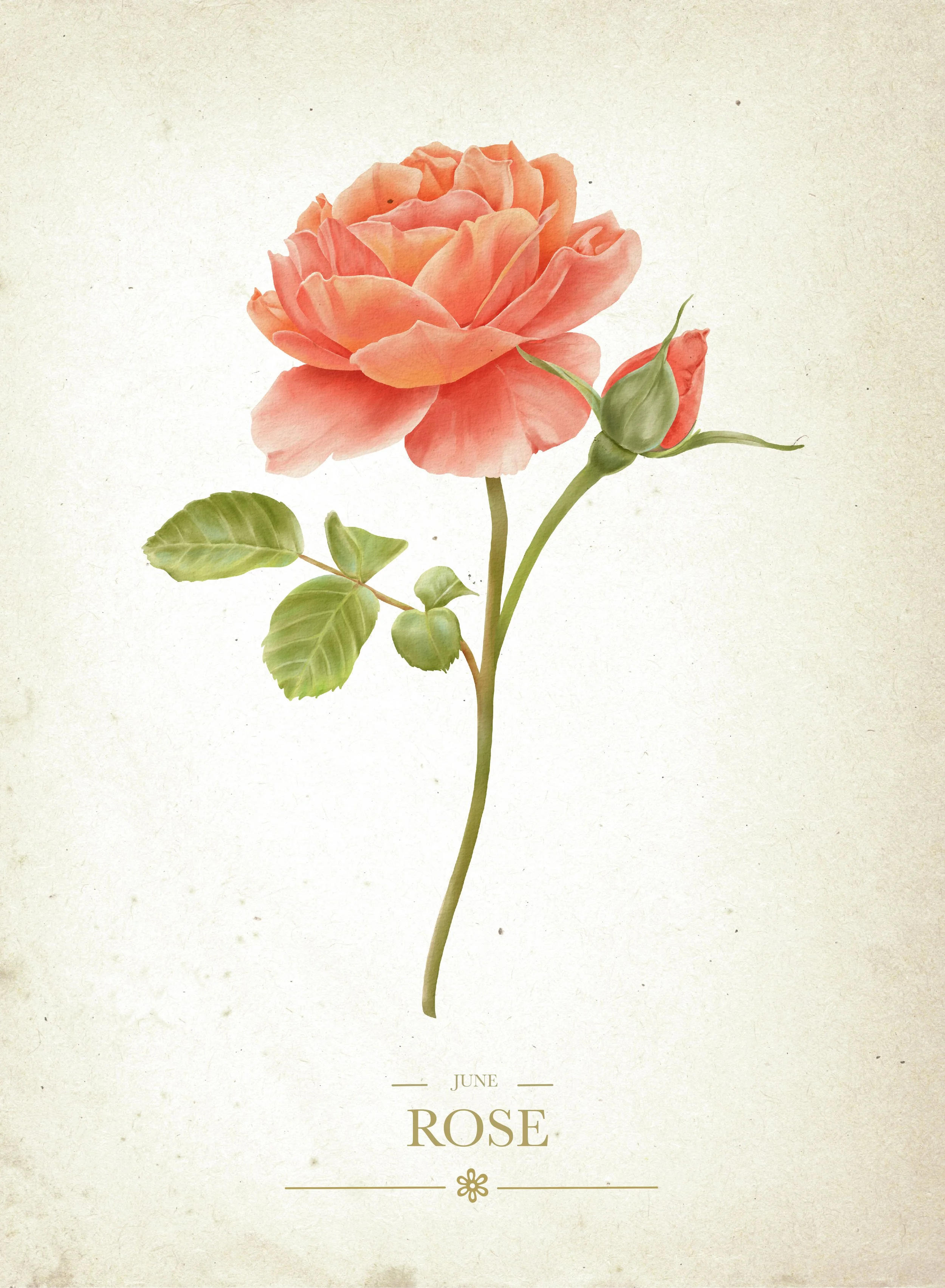Vintage June copy.jpg