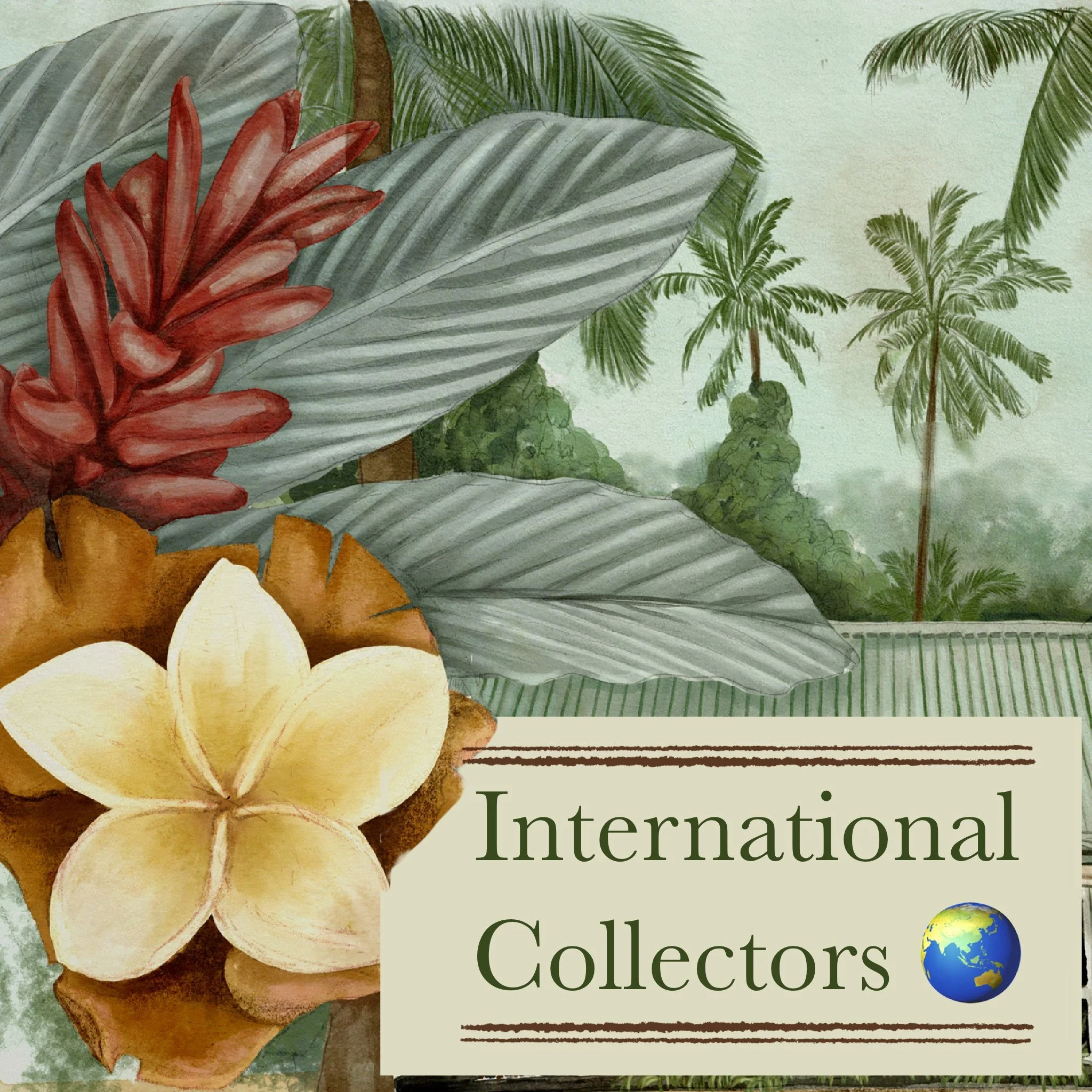 INTERNATIONAL COLLECTORS 🌏