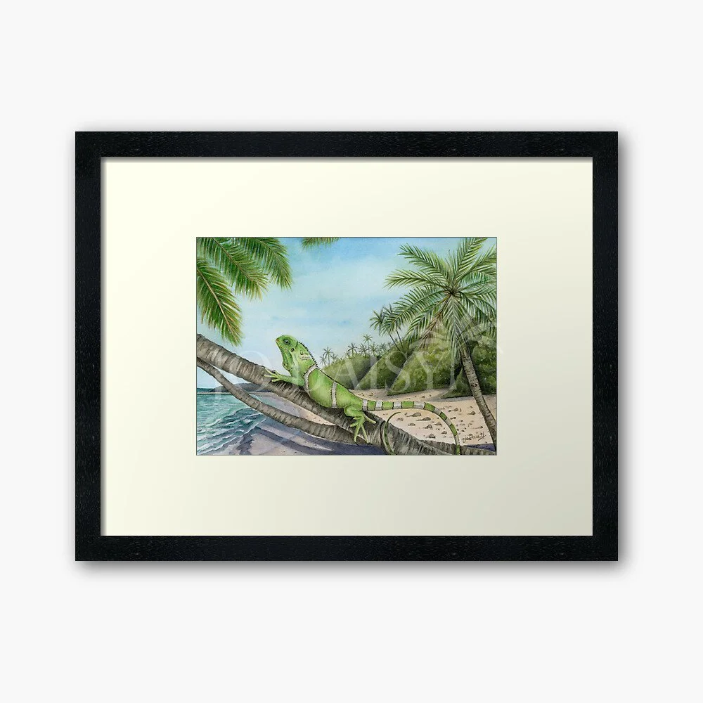 Crested Iguana Framed WM.jpg