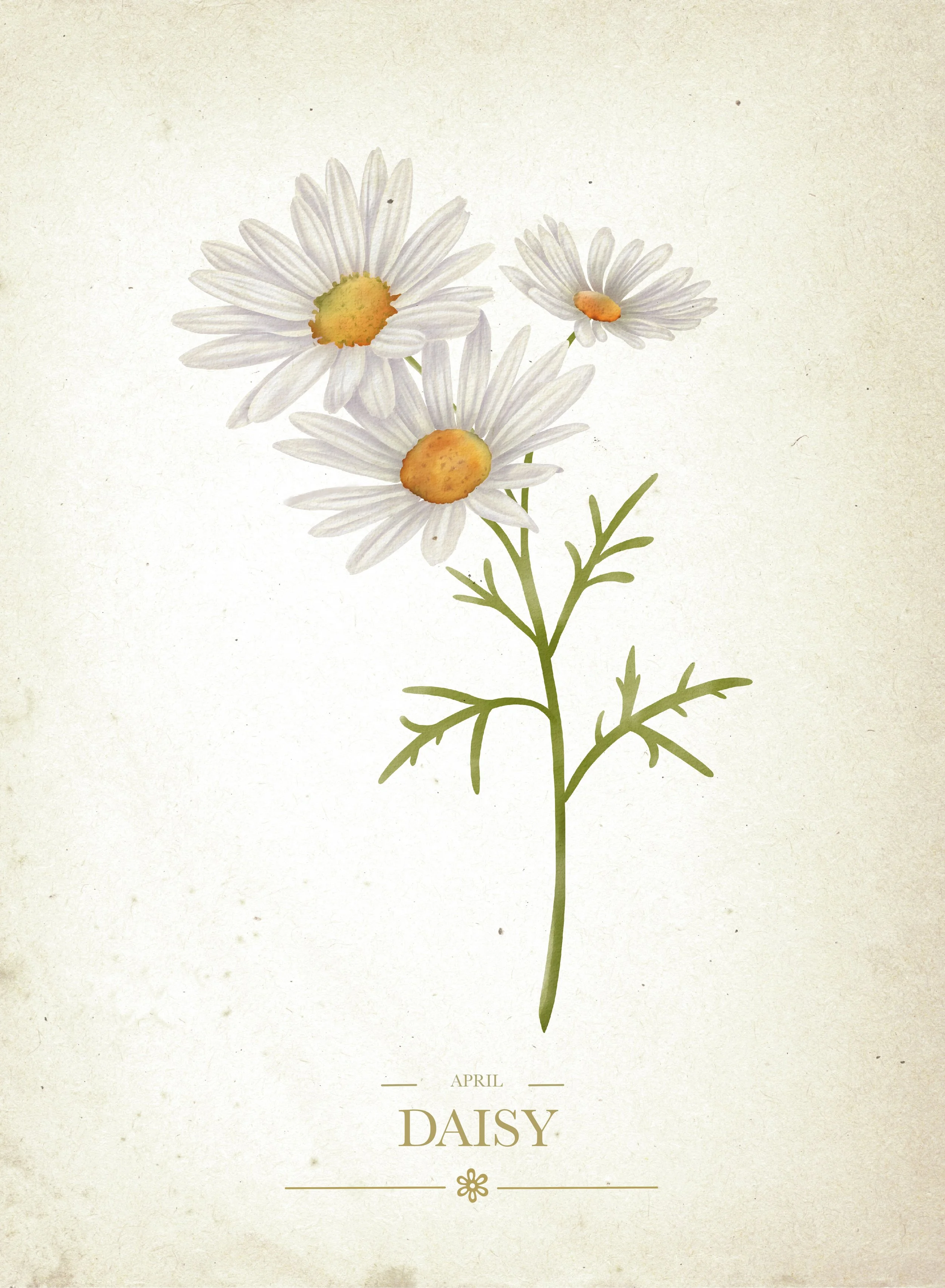 Vintage April copy.jpg