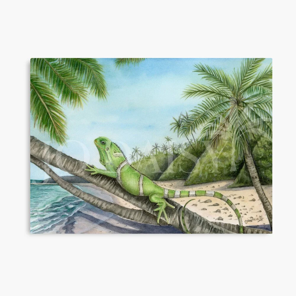 Fijian Crested Iguana, Fiji Art Print