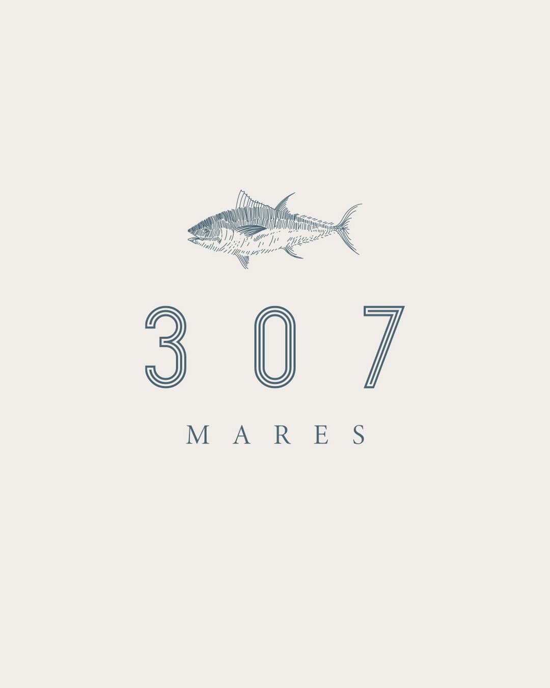 307 Mares / Diseño de Identidad
