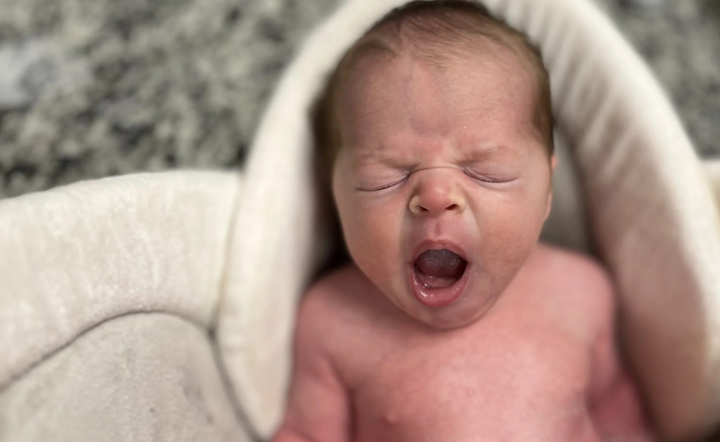 giving my newborn a bath