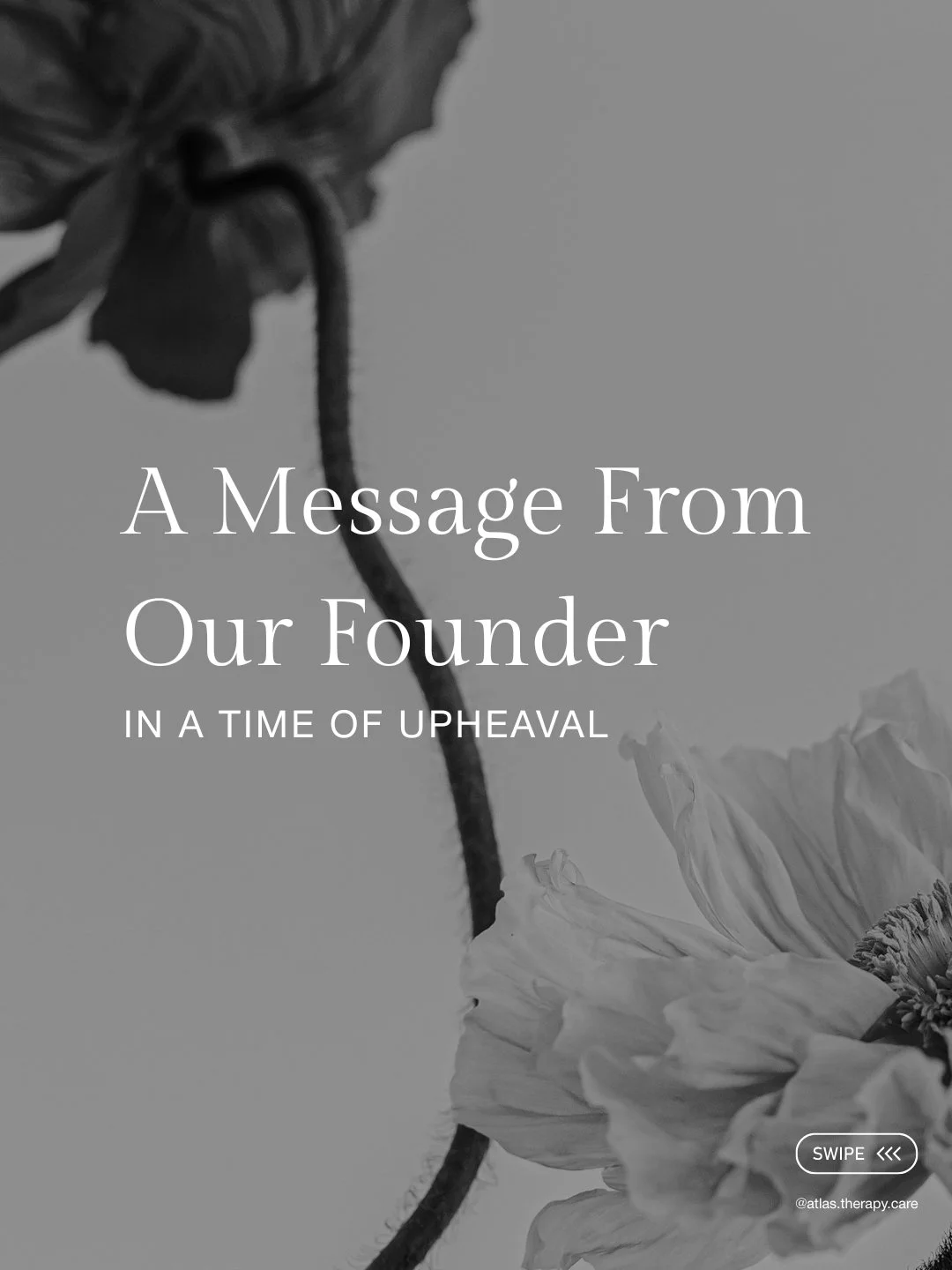 We believe safety, belonging and agency are foundational to healthy. And we believe it is our responsibility as clinicians and as a practice to remain aware of and engaged with the broader forces affecting our clients&rsquo; lives. This means continu