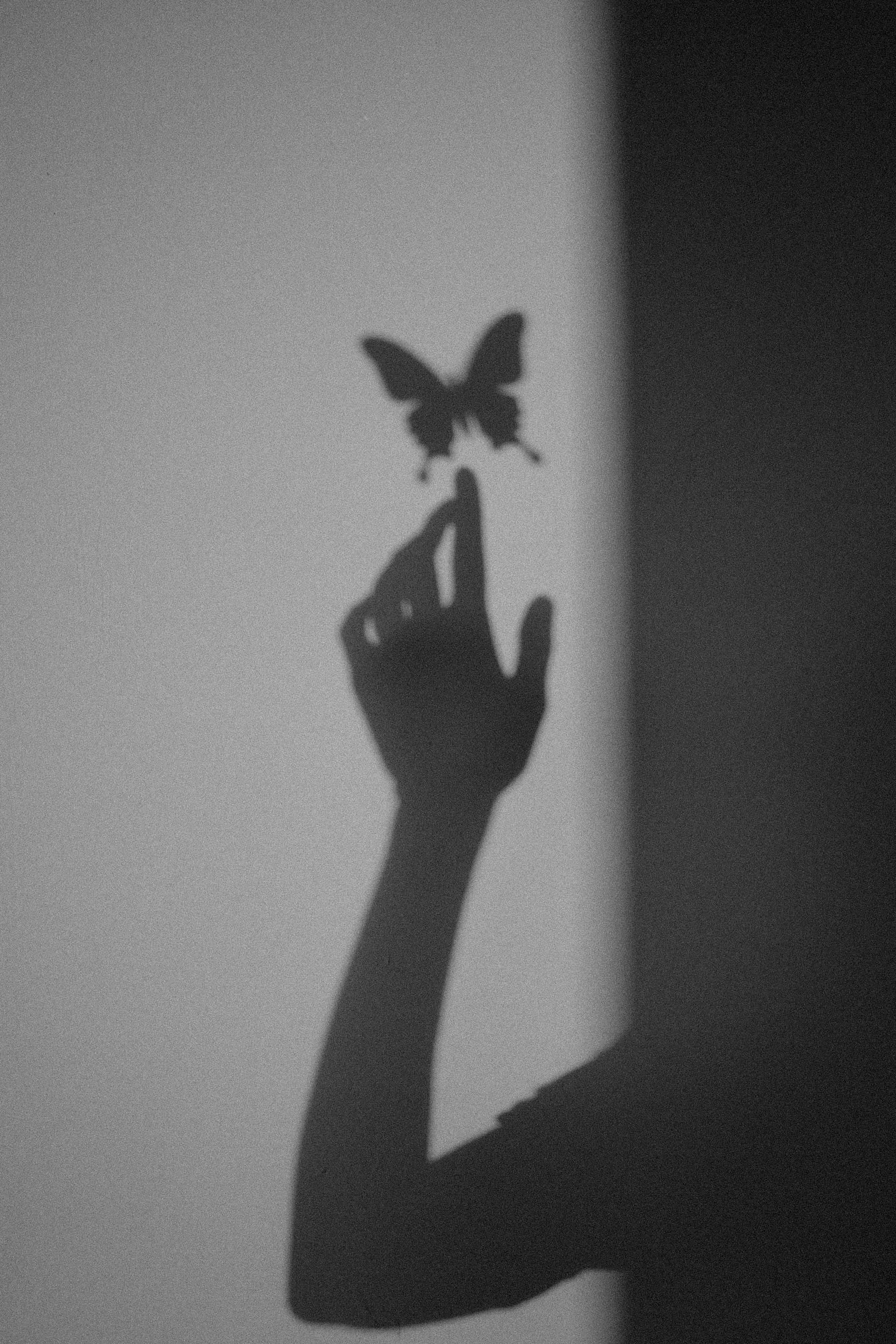 Silhouette of a hand with an extended finger touching a butterfly shadow on a wall, black and white photo.