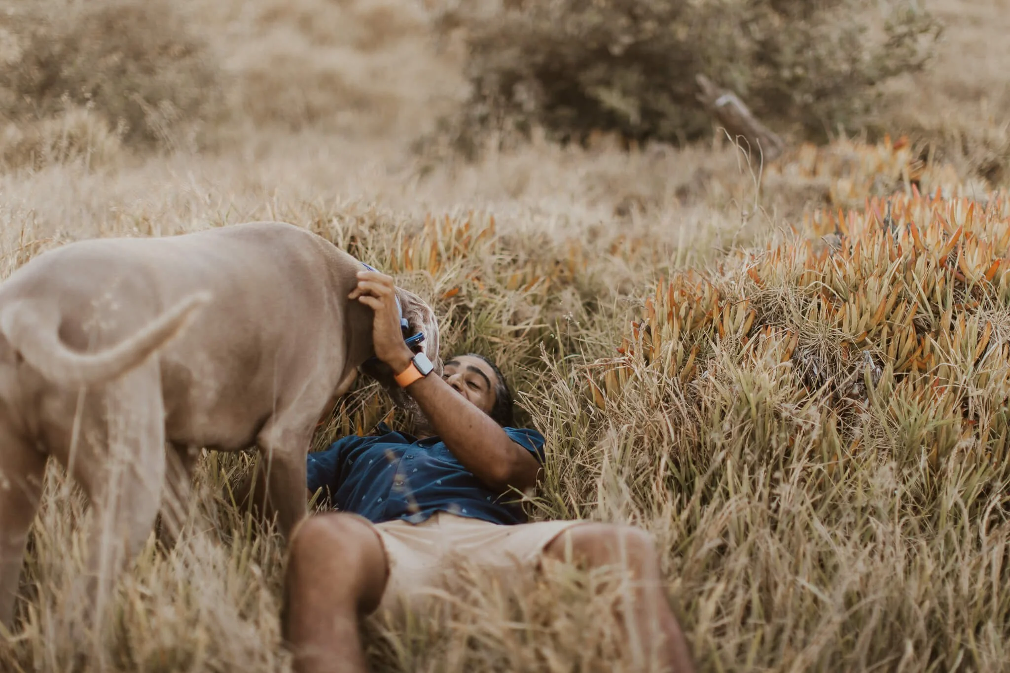 Bodhi-previews-113.jpeg