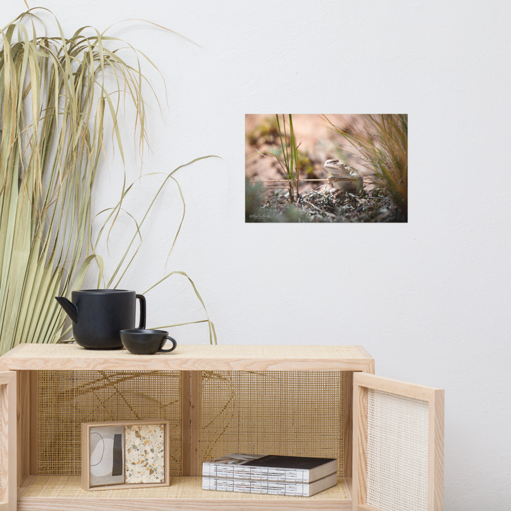enhanced-matte-paper-poster-(in)-12x18-front-67814f409e1d7.png