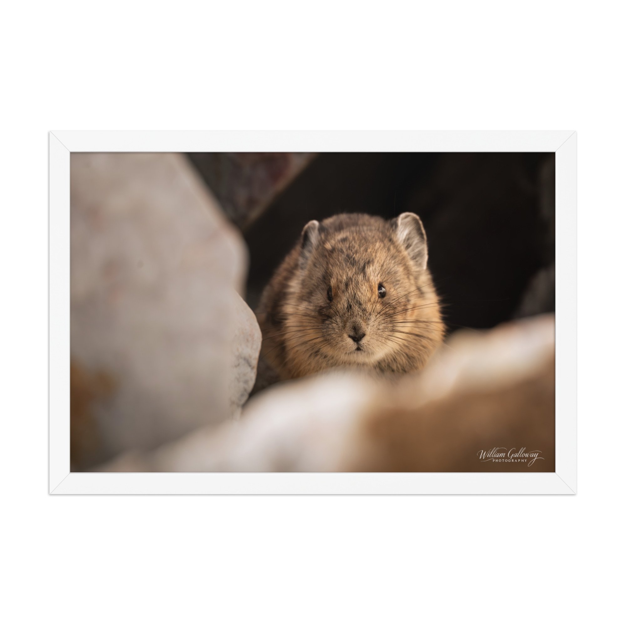 premium-luster-photo-paper-framed-poster-(in)-white-12x18-front-67818b57687d3.jpg