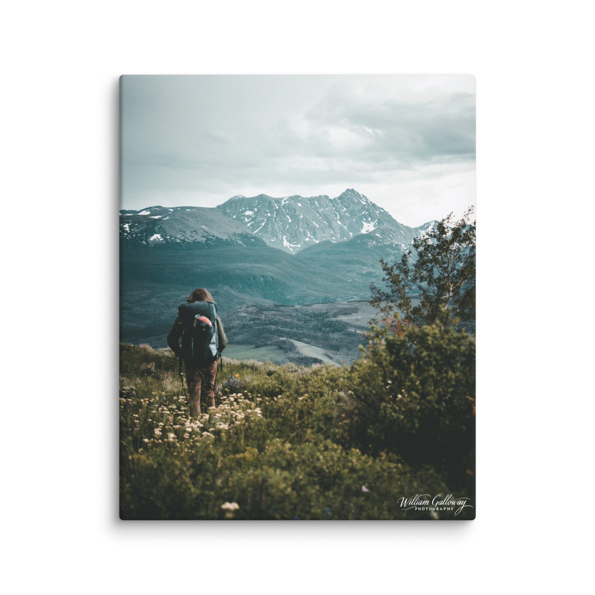canvas-(in)-16x20-wall-6782dc0f169bb.png