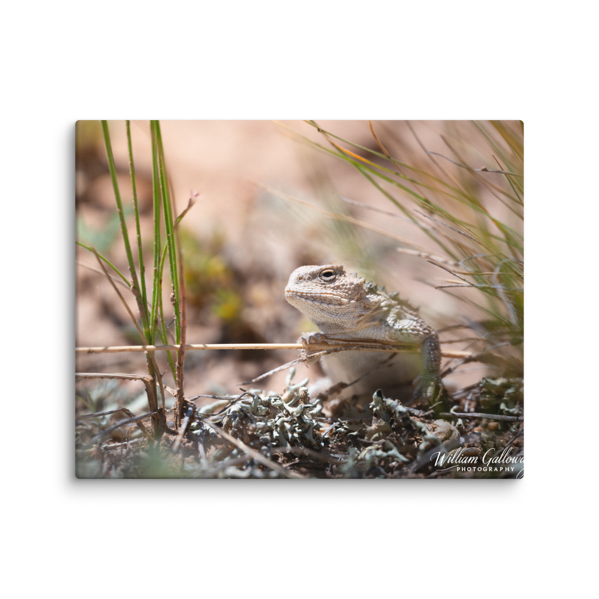 canvas-(in)-16x20-wall-6782de78ae277.png