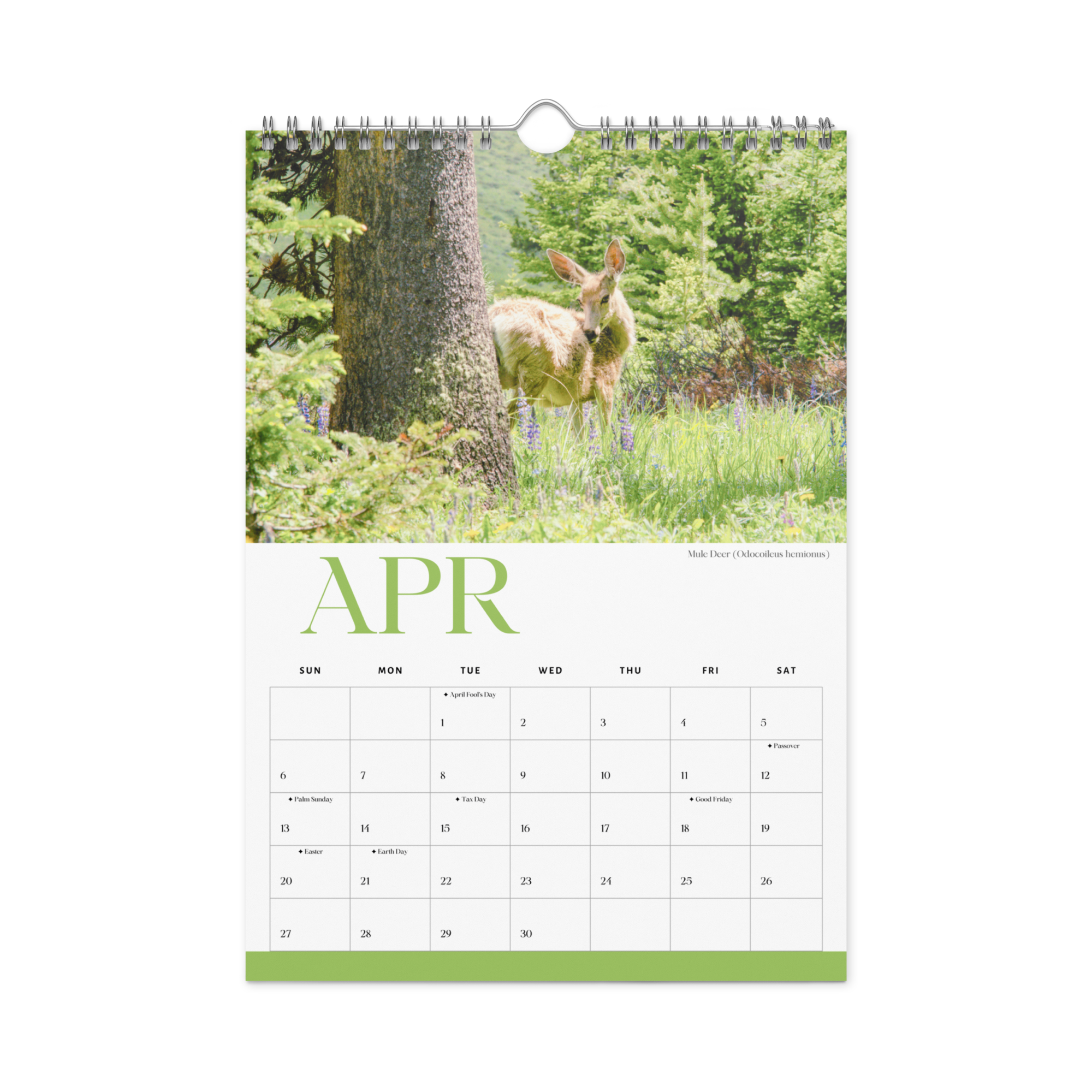 wall-calendar-(blank)-white-8.26x11.69-front-678987f702605.png