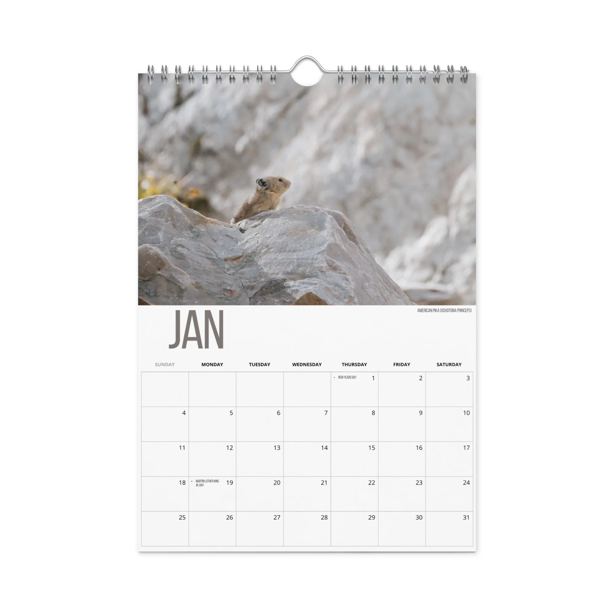 wall-calendar-(blank)-white-8.26x11.69-front-6934cfe60443e.jpg