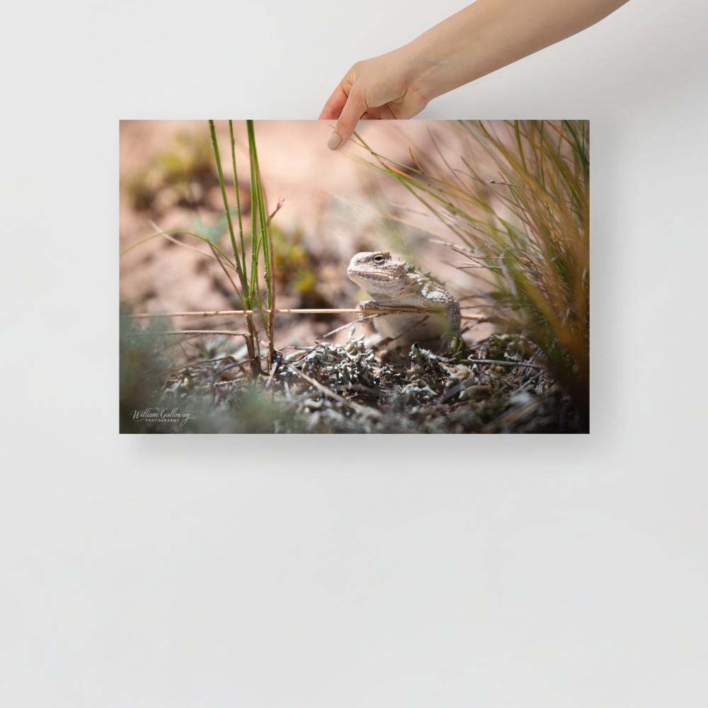 enhanced-matte-paper-poster-(in)-12x18-front-67814f409e2b2.png