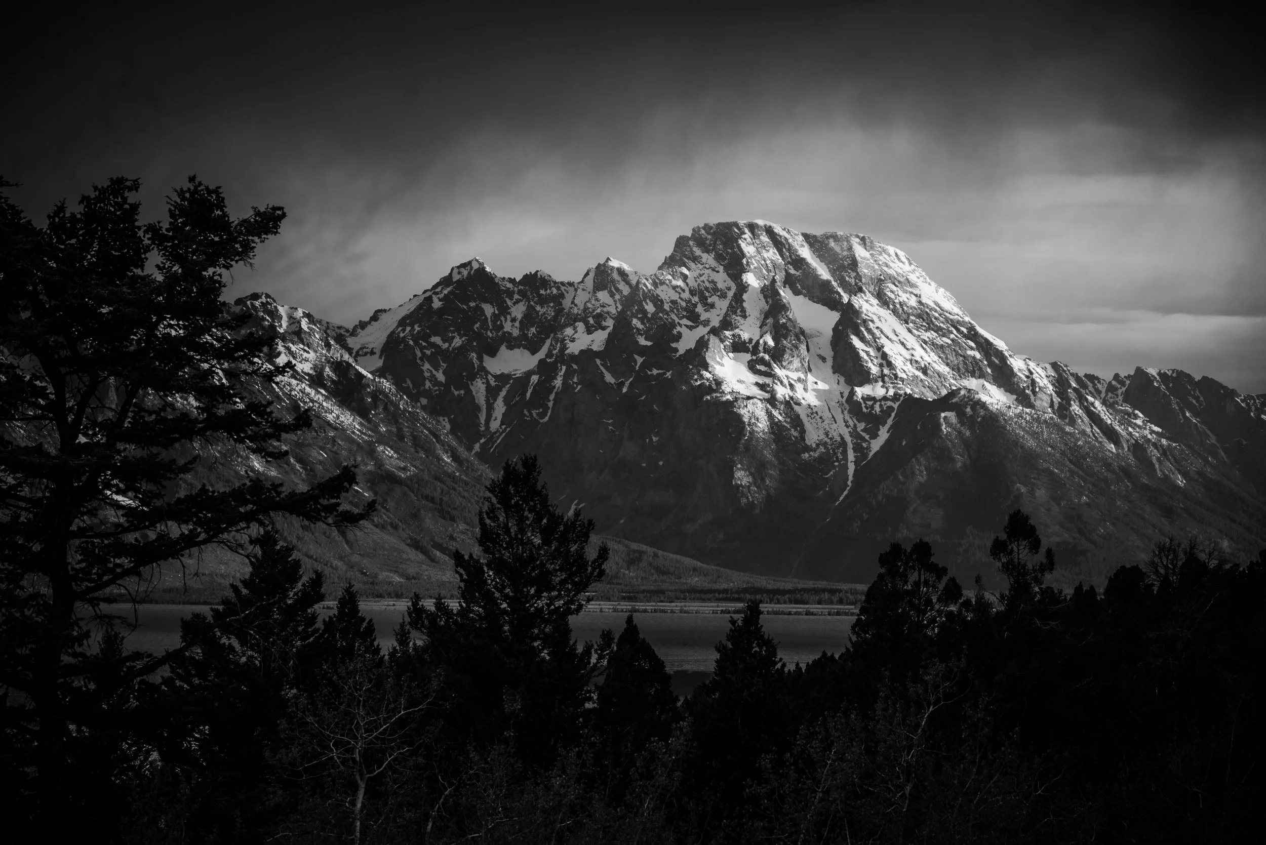 DSC_9017.jpg