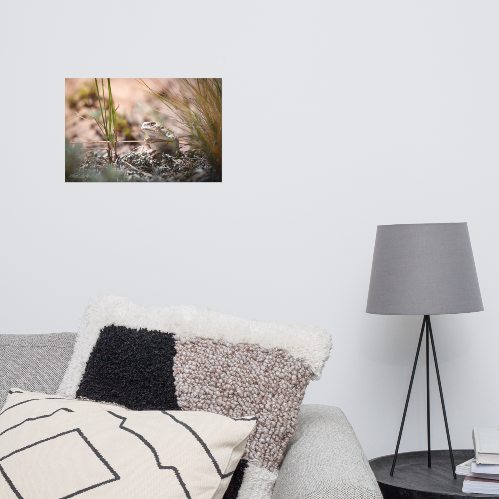 enhanced-matte-paper-poster-(in)-12x18-front-67814f409e204.png