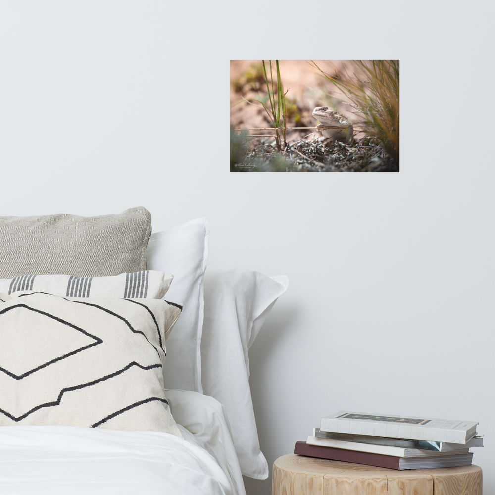 enhanced-matte-paper-poster-(in)-12x18-front-67814f409dff4.png