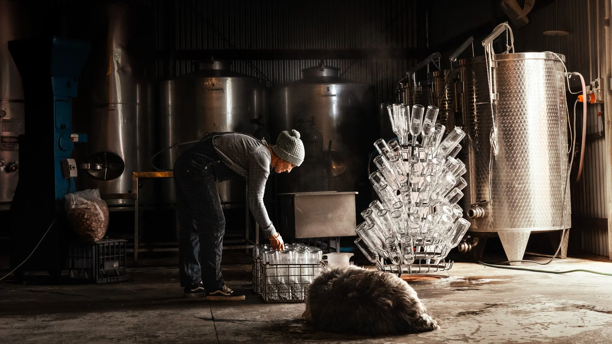 Dormilona Wines 6.jpg