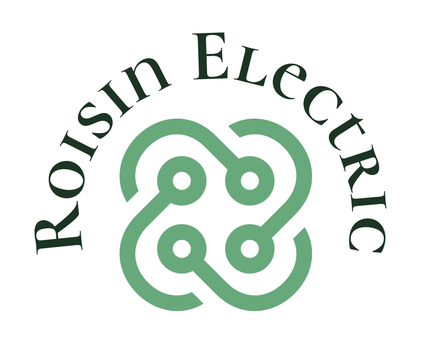 Roisin Electric