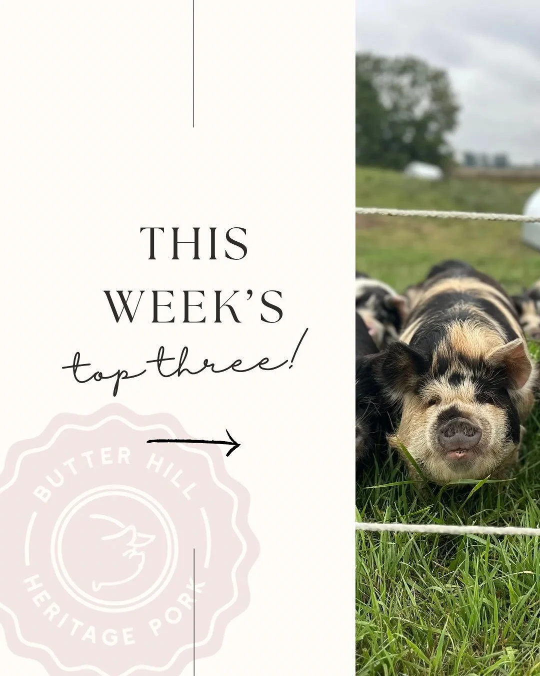Hey! 🍂

Just popping in to give you this week&rsquo;s top 3 from Butter Hill &amp; wish you a happy autumn! 

Lots of exciting things on the way over here this season&hellip;there is NO BETTER TIME to shop with us in preparation for the holidays!

#