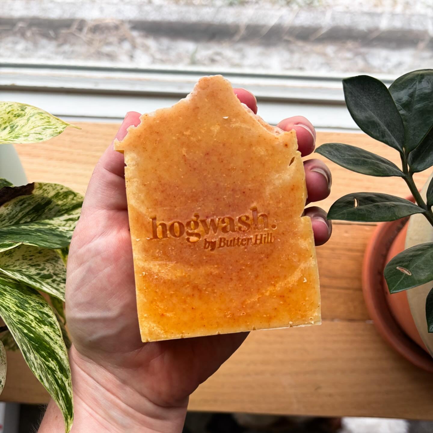 Coming soon. 🫧✨🐽

Hogwash. by Butter Hill