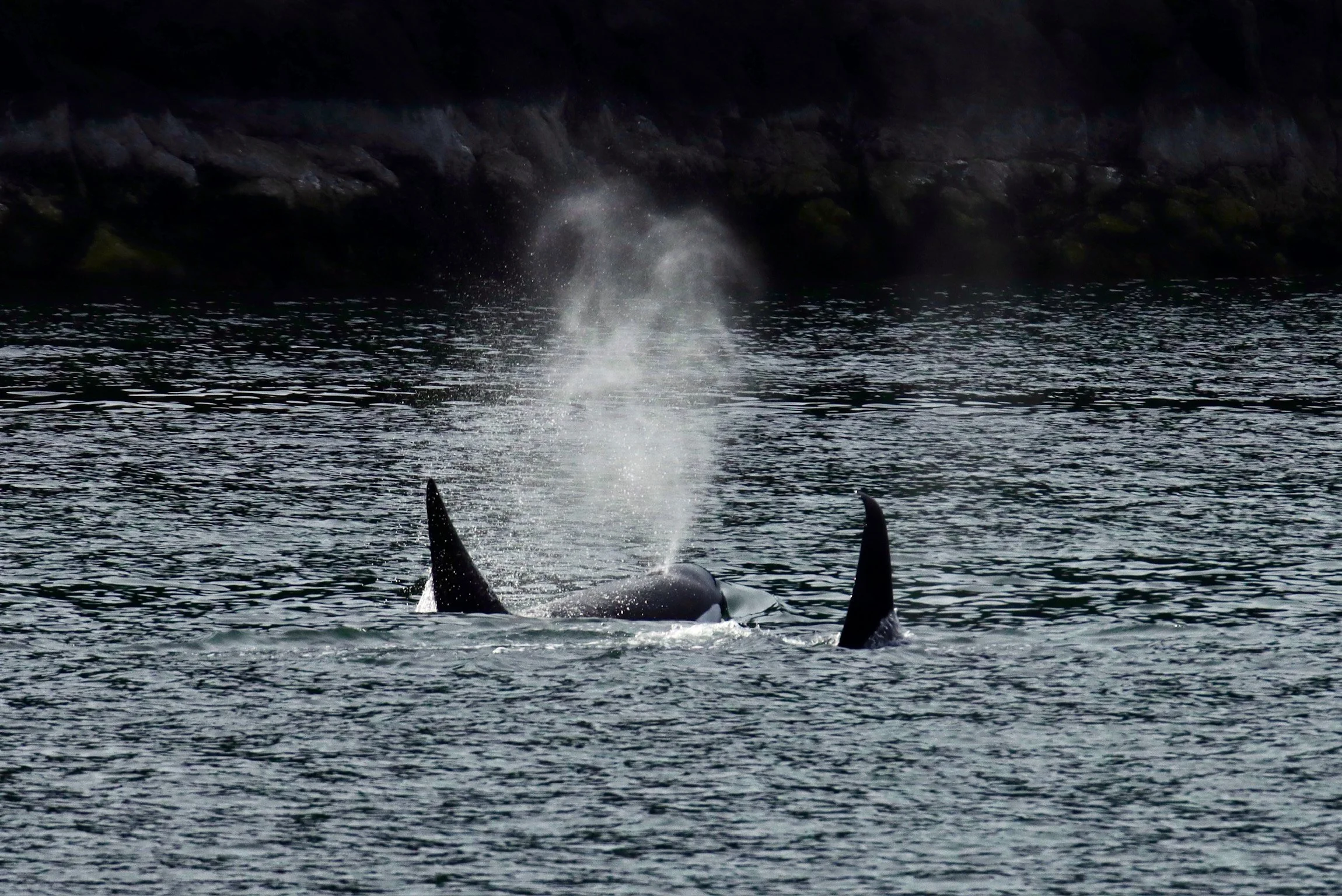 Prince of Whales Adventures (Stills | Hospitality & Tourism)