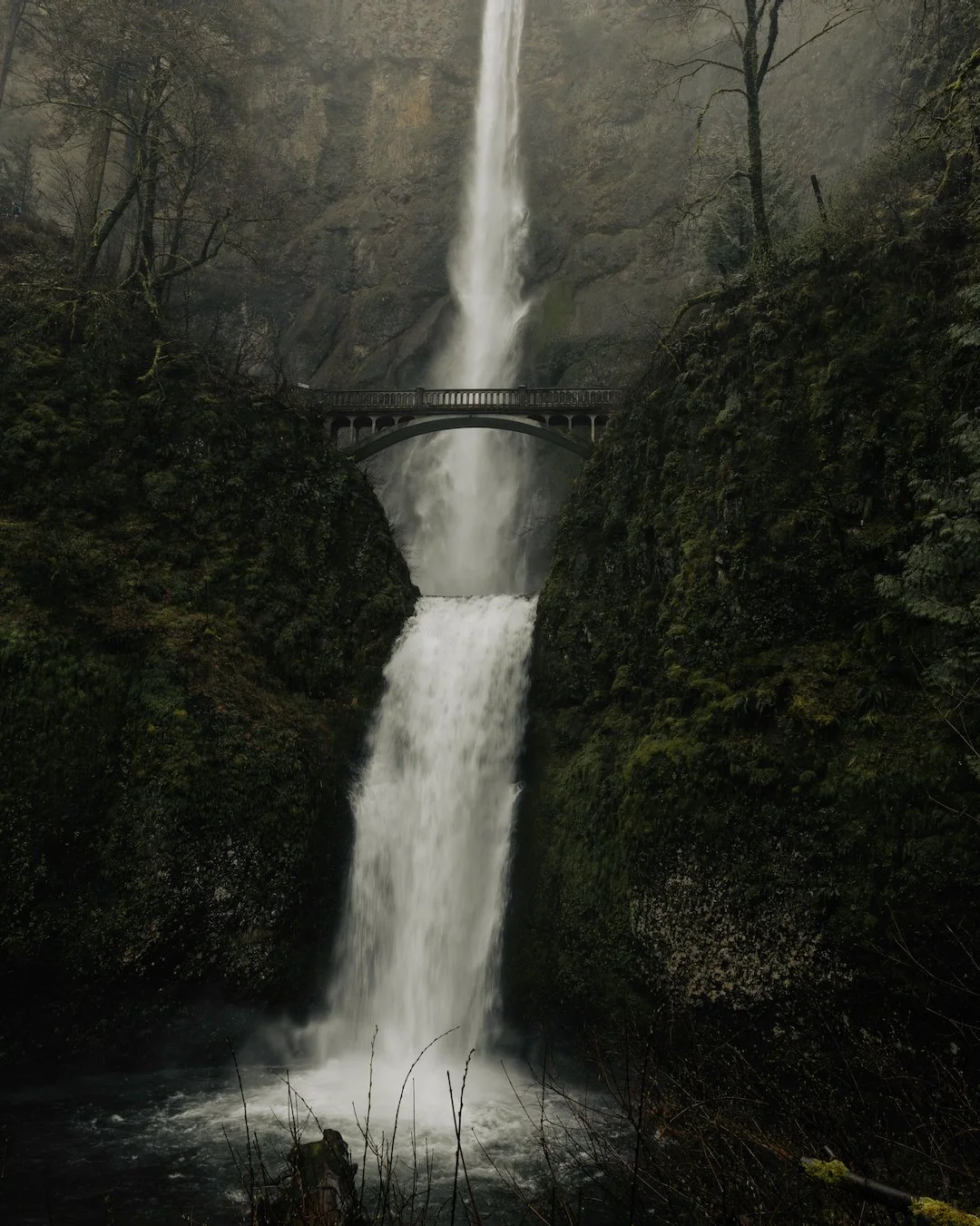 R6II6371.jpeg