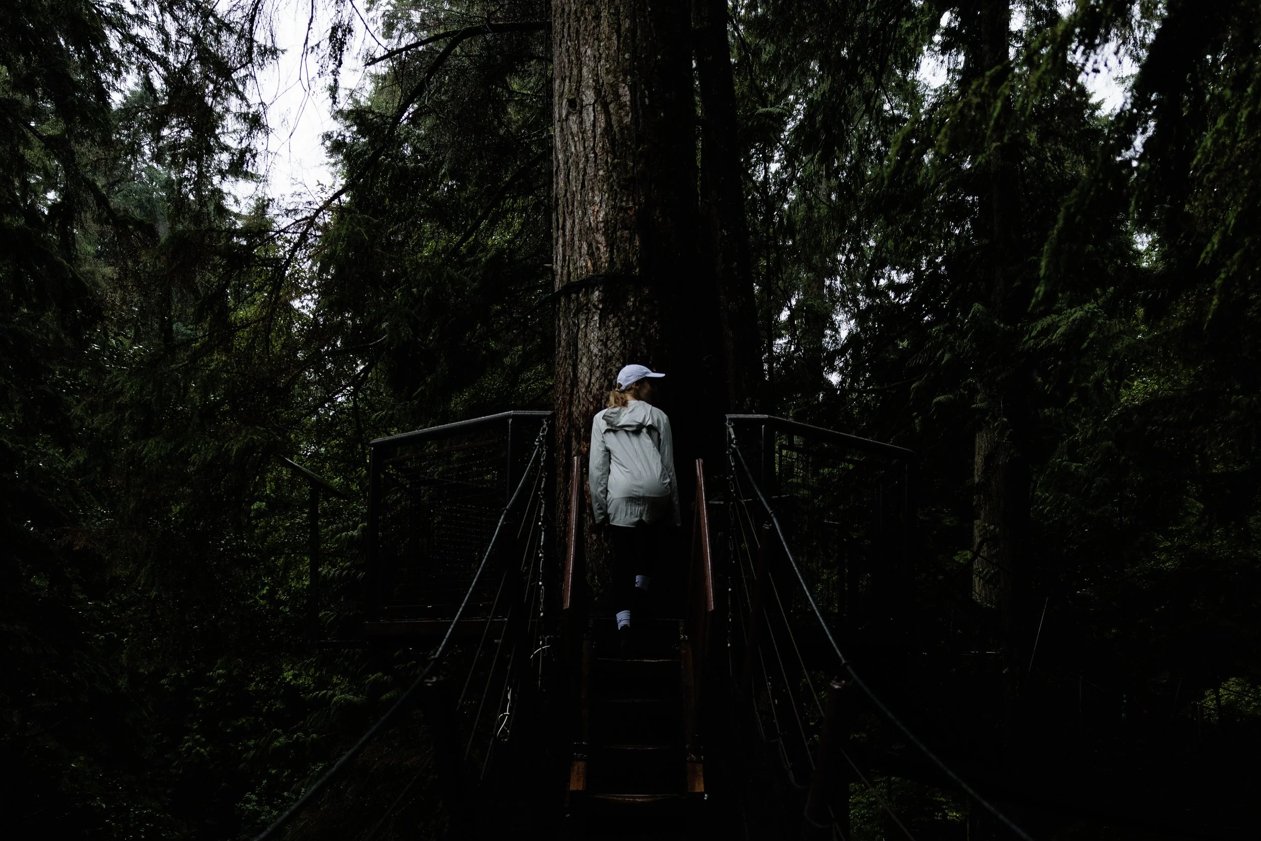 Capilano Suspension Bridge (Stills | Hospitality & Tourism)