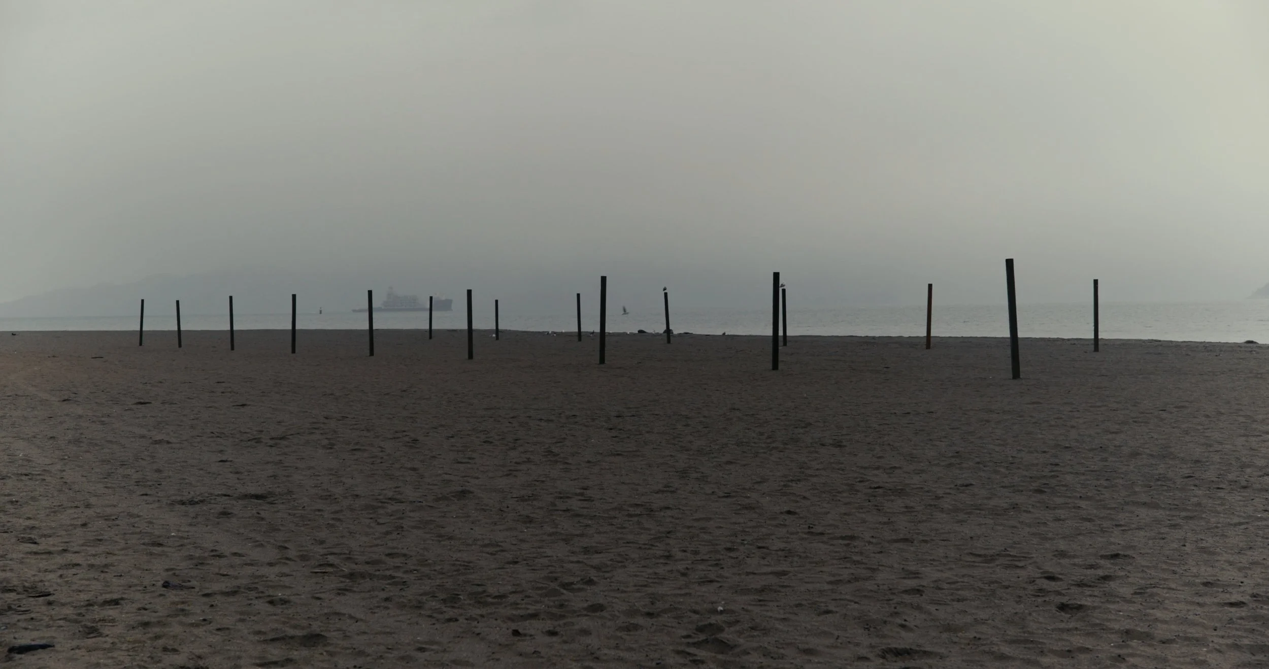 Still 2026-03-10 204253_1.1.1.jpg