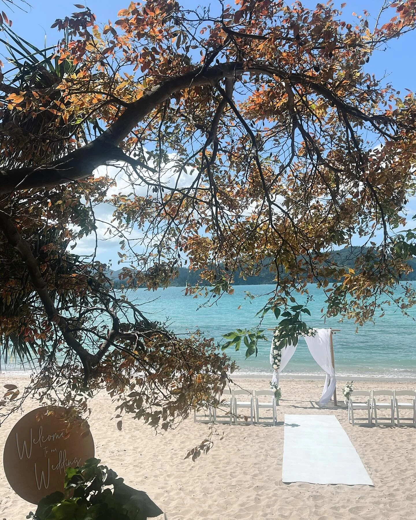 What an aisle to walk down, be careful you don&rsquo;t trip. Catseye Beach, Hamilton Island.