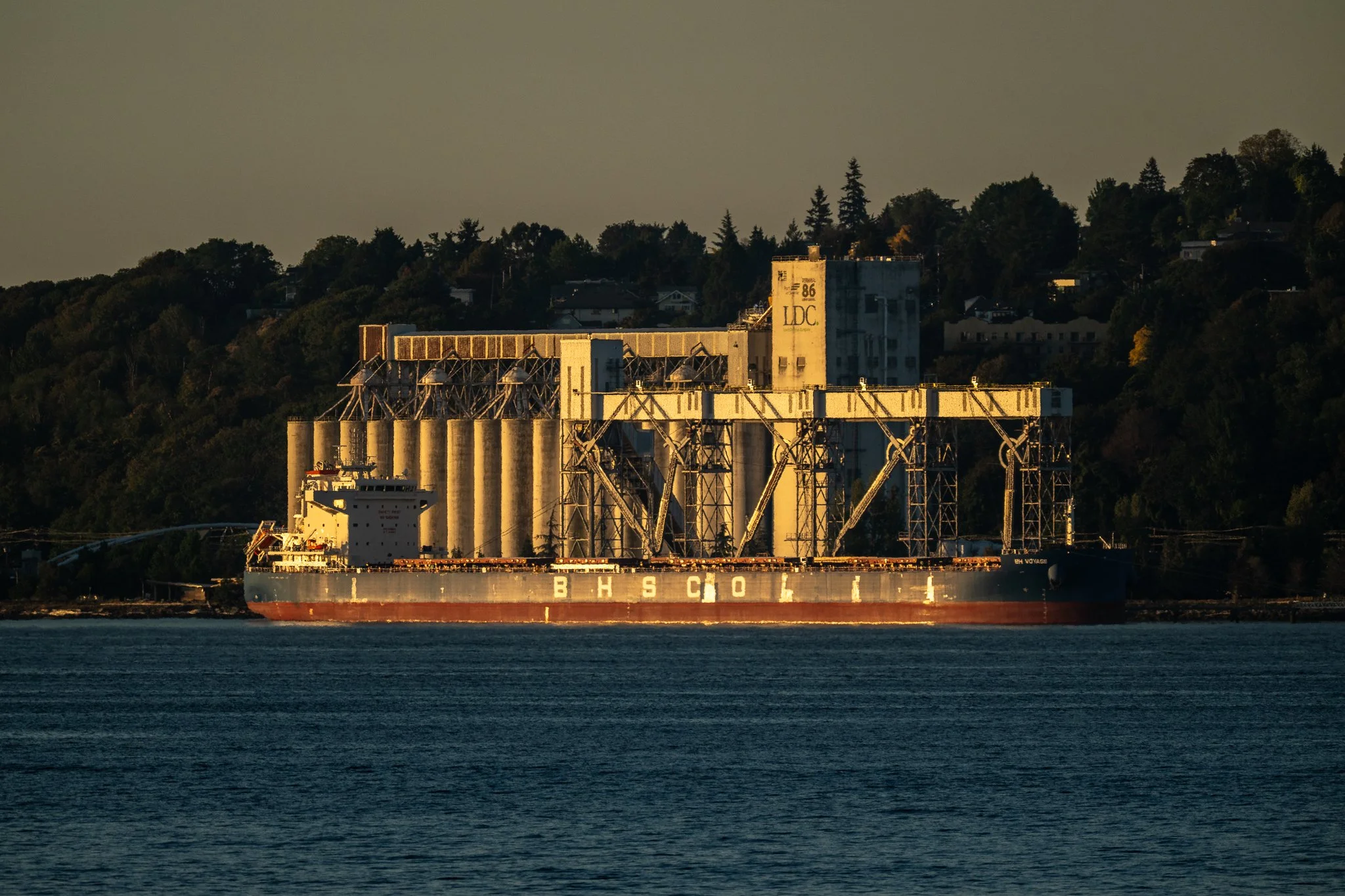 SHIP_DNG_COPIES_JACK_BLOCK_PARK_ALKI_091726-5771.jpg