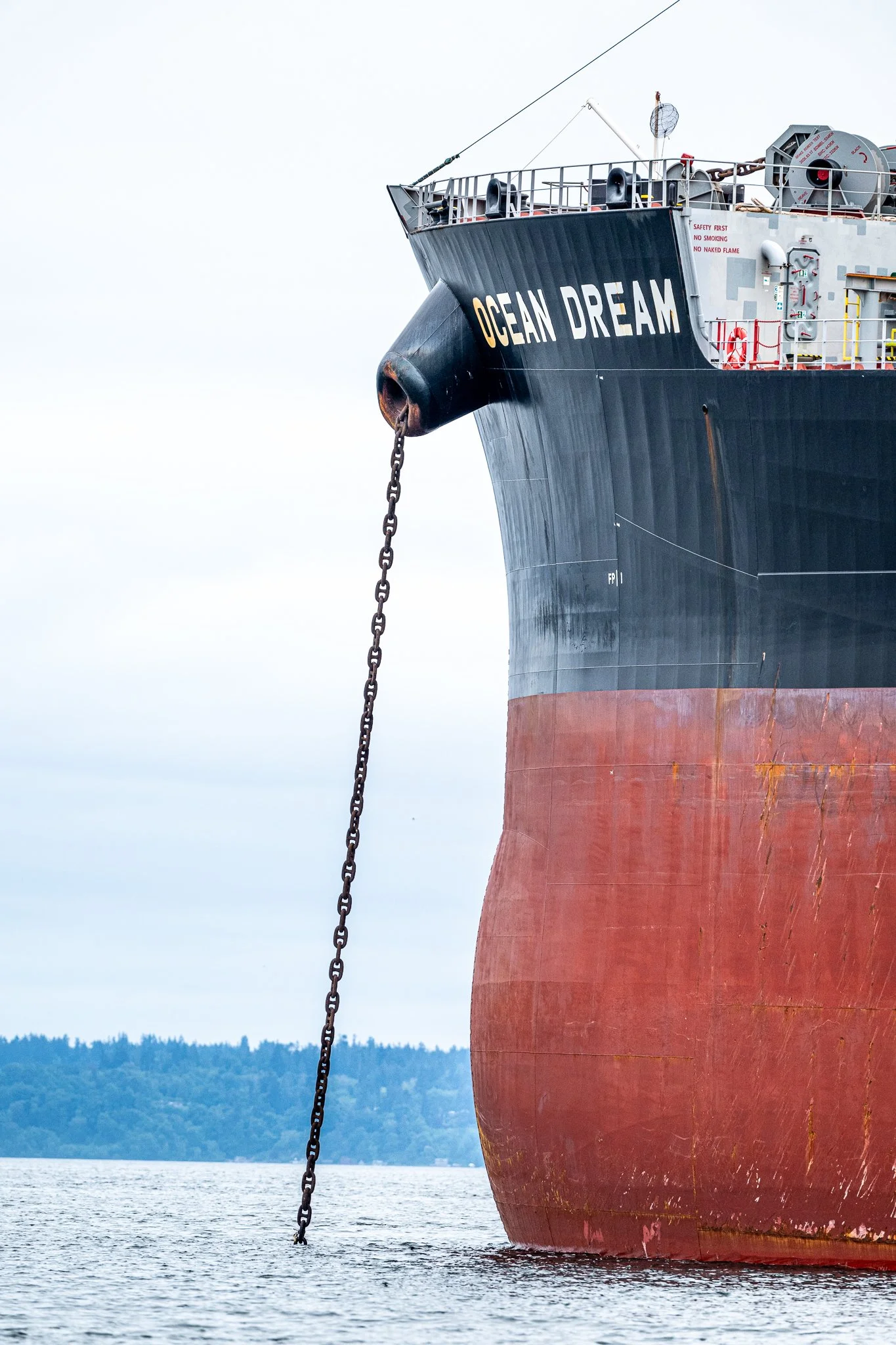 PUGET SOUND SHIPPING CONTAINERS COMING SOON-9823.jpg