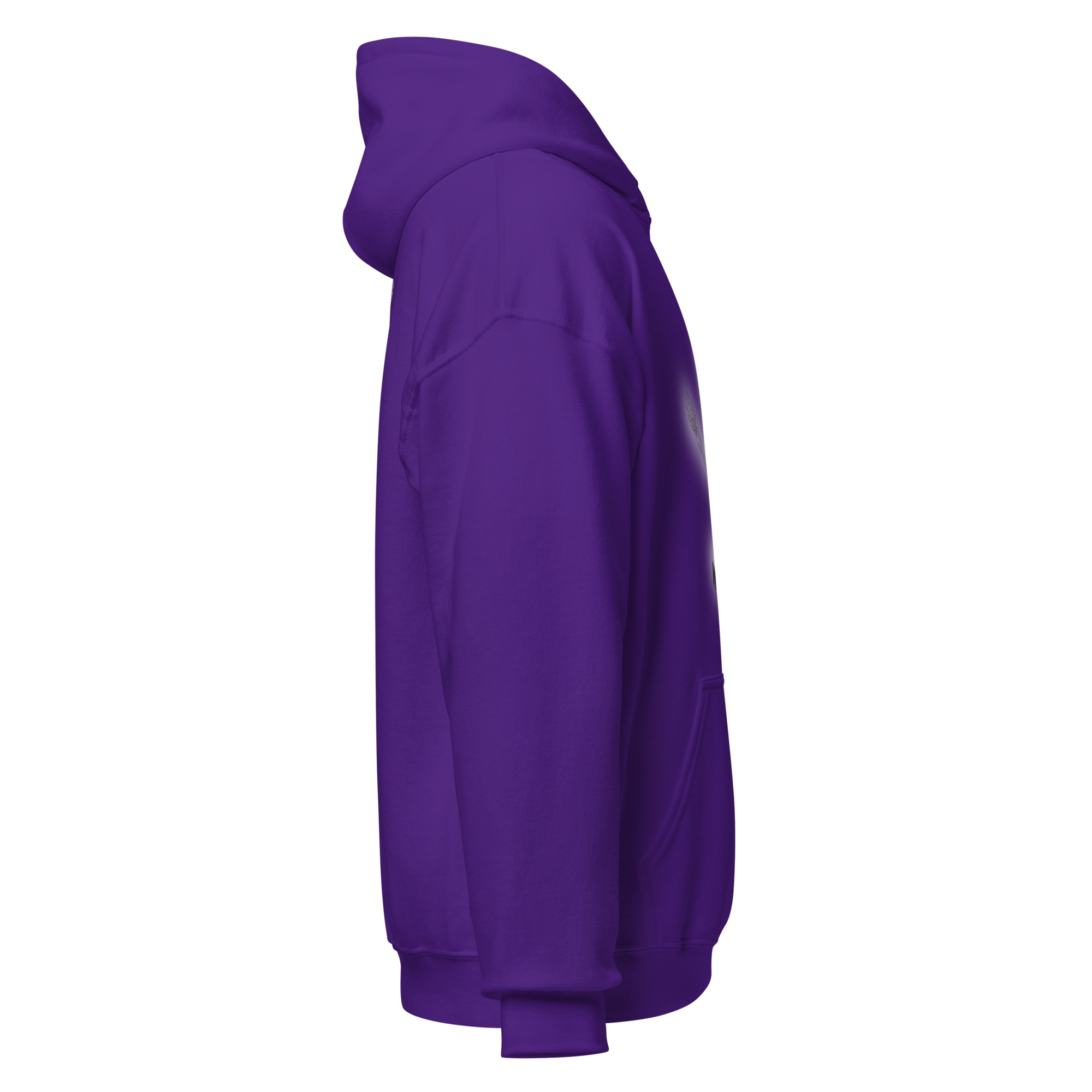 unisex-heavy-blend-hoodie-purple-right-6a9765ecee89d.png