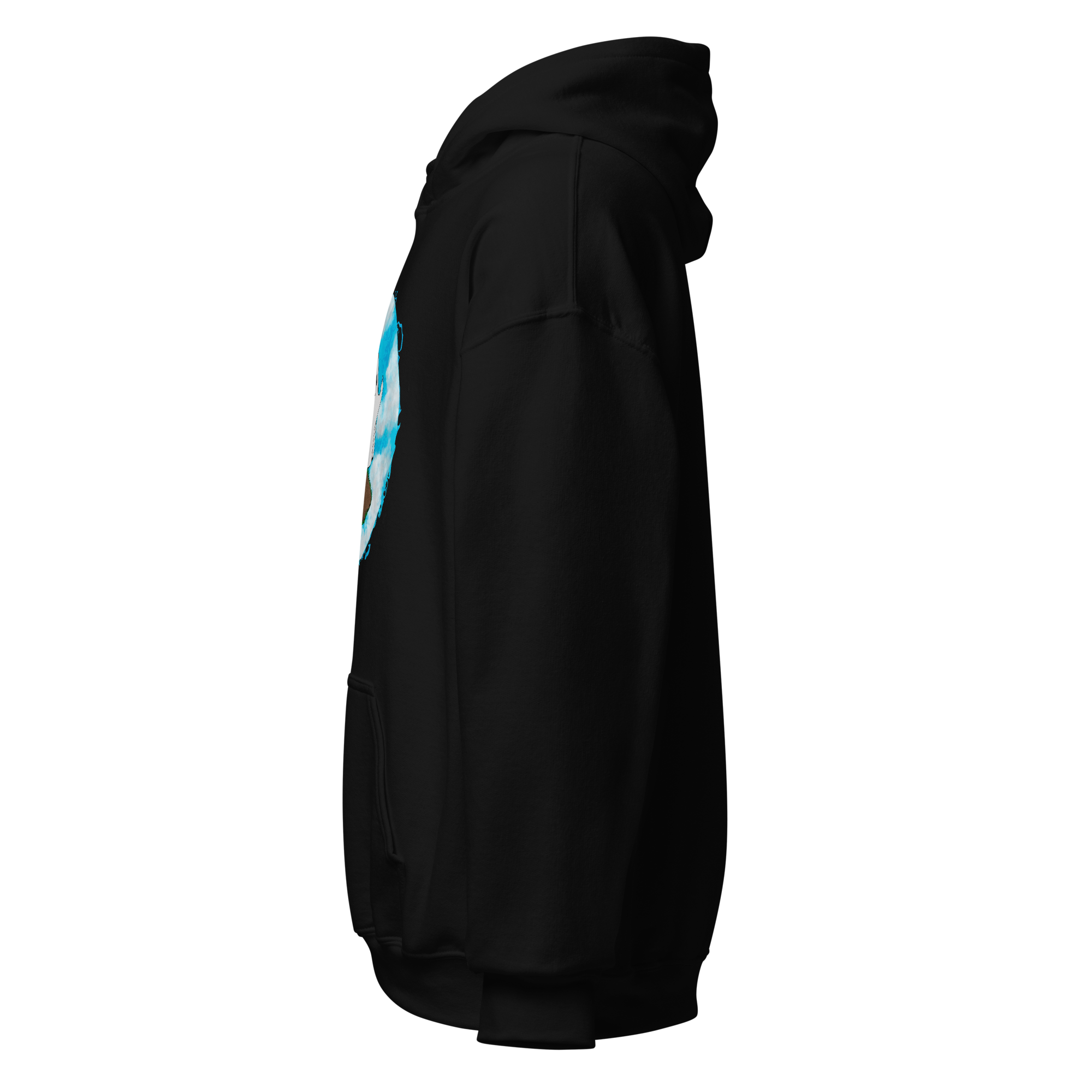 unisex-heavy-blend-hoodie-black-left-6a976242d3d96.png