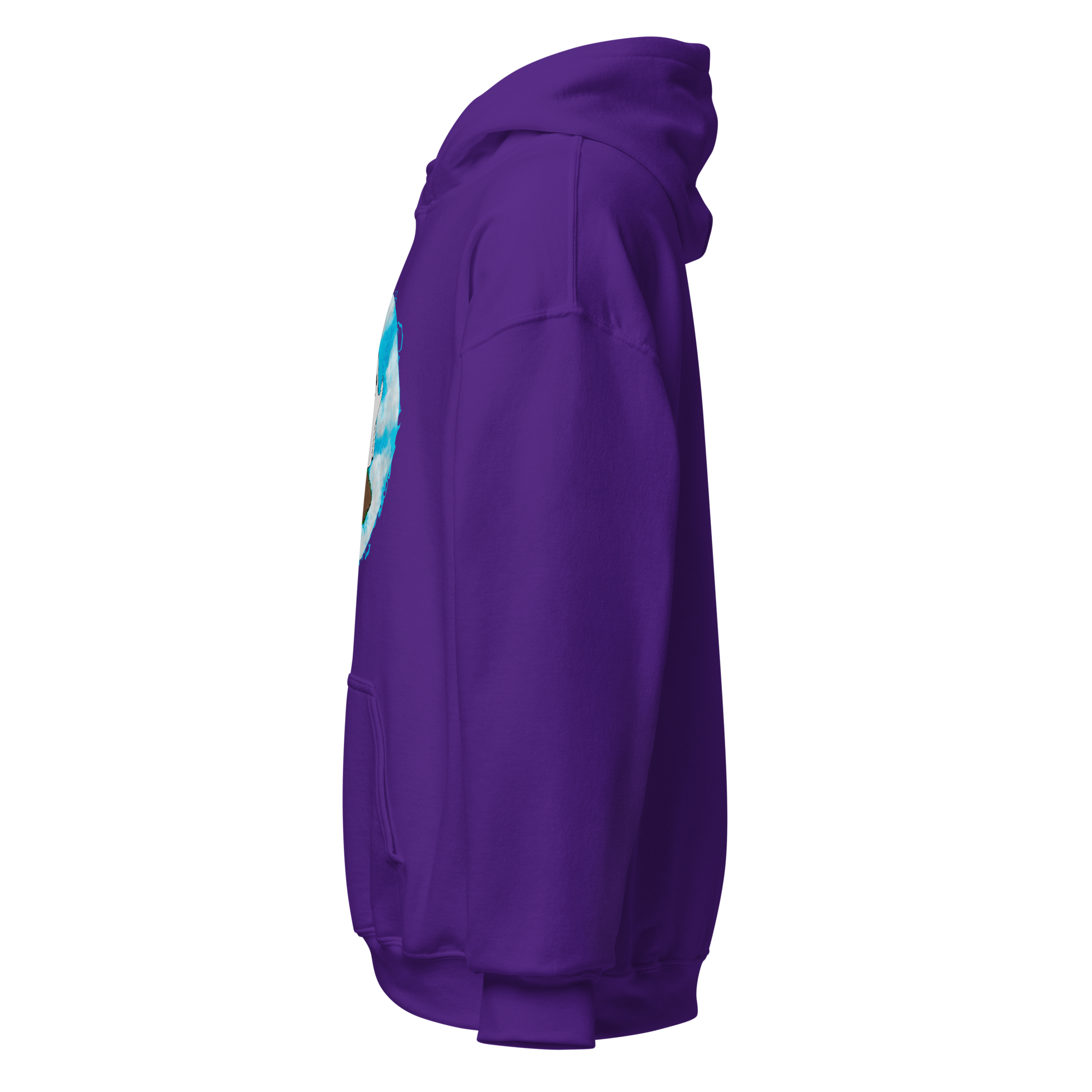 unisex-heavy-blend-hoodie-purple-left-6a976242d3f3b.png