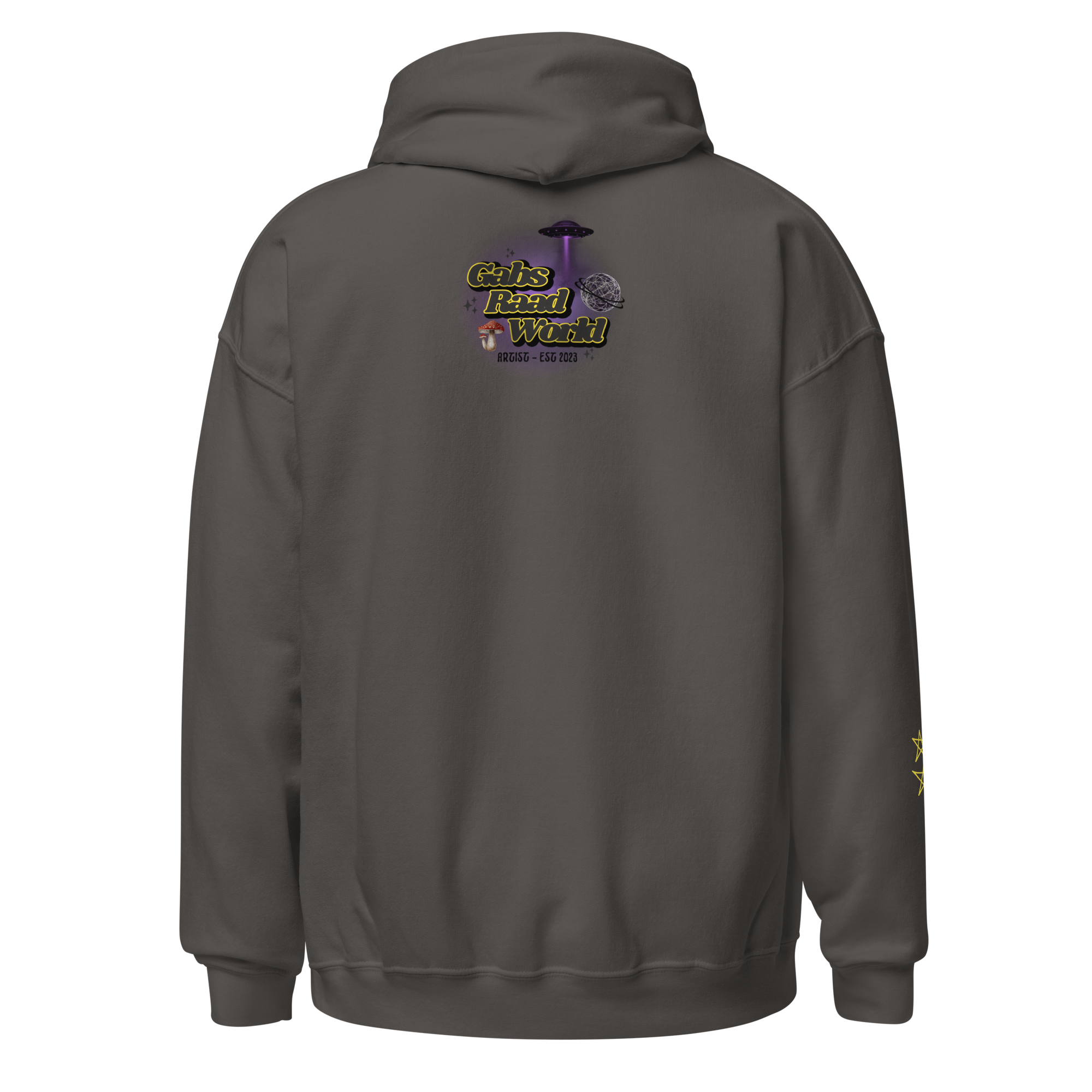 unisex-heavy-blend-hoodie-charcoal-back-6a975fbede531.png