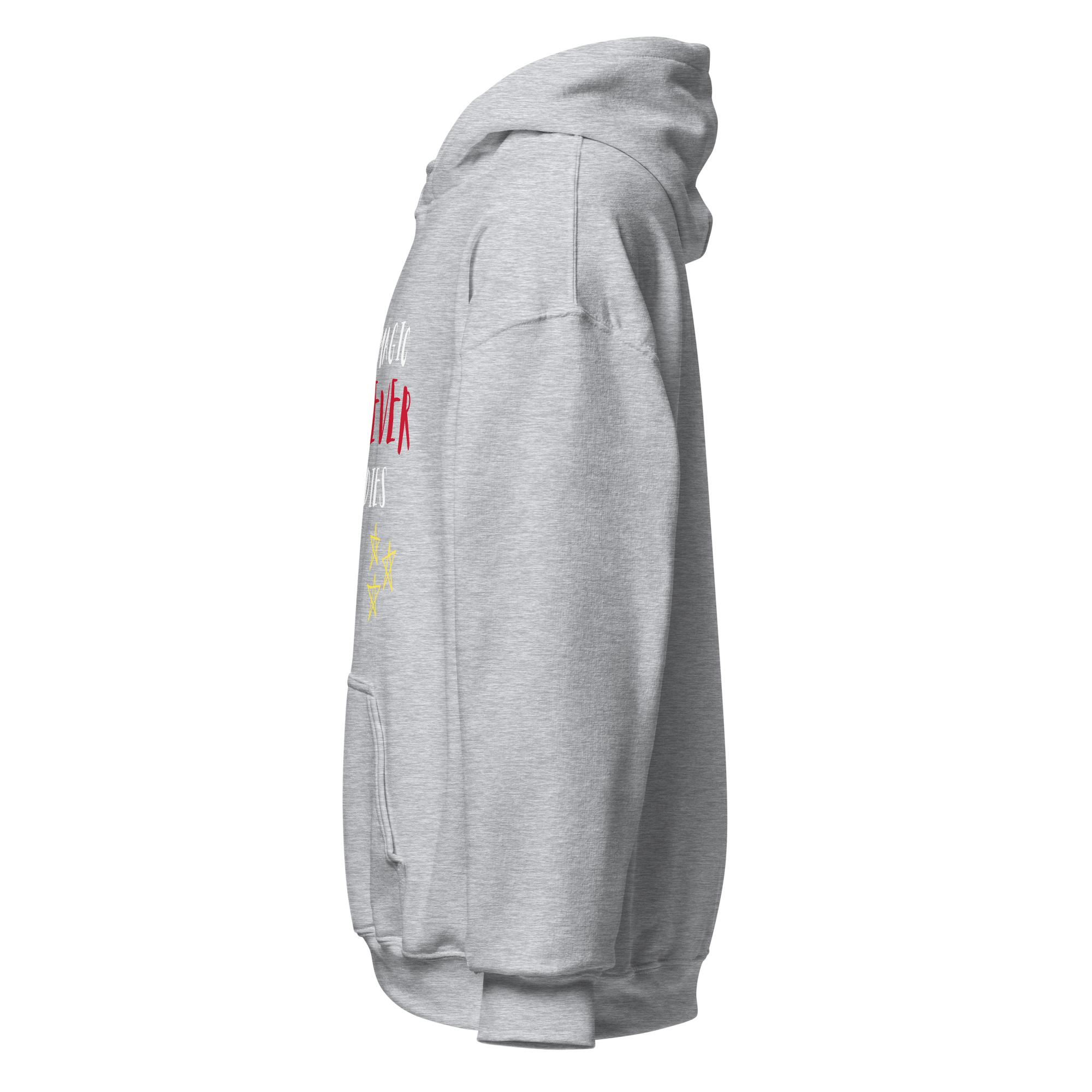 unisex-heavy-blend-hoodie-sport-grey-left-6a975fbeded63.png