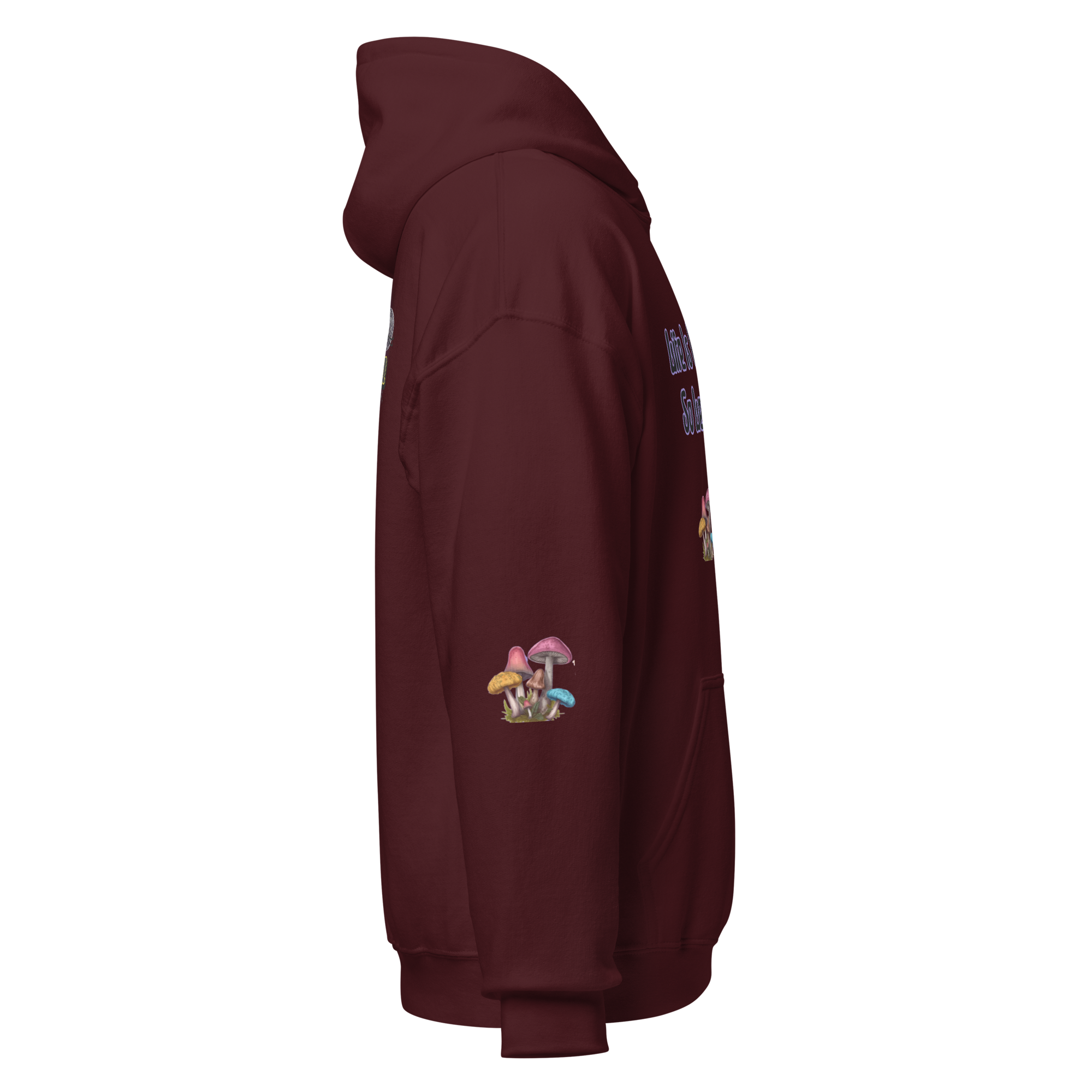 unisex-heavy-blend-hoodie-maroon-right-6a97668f12fda.png