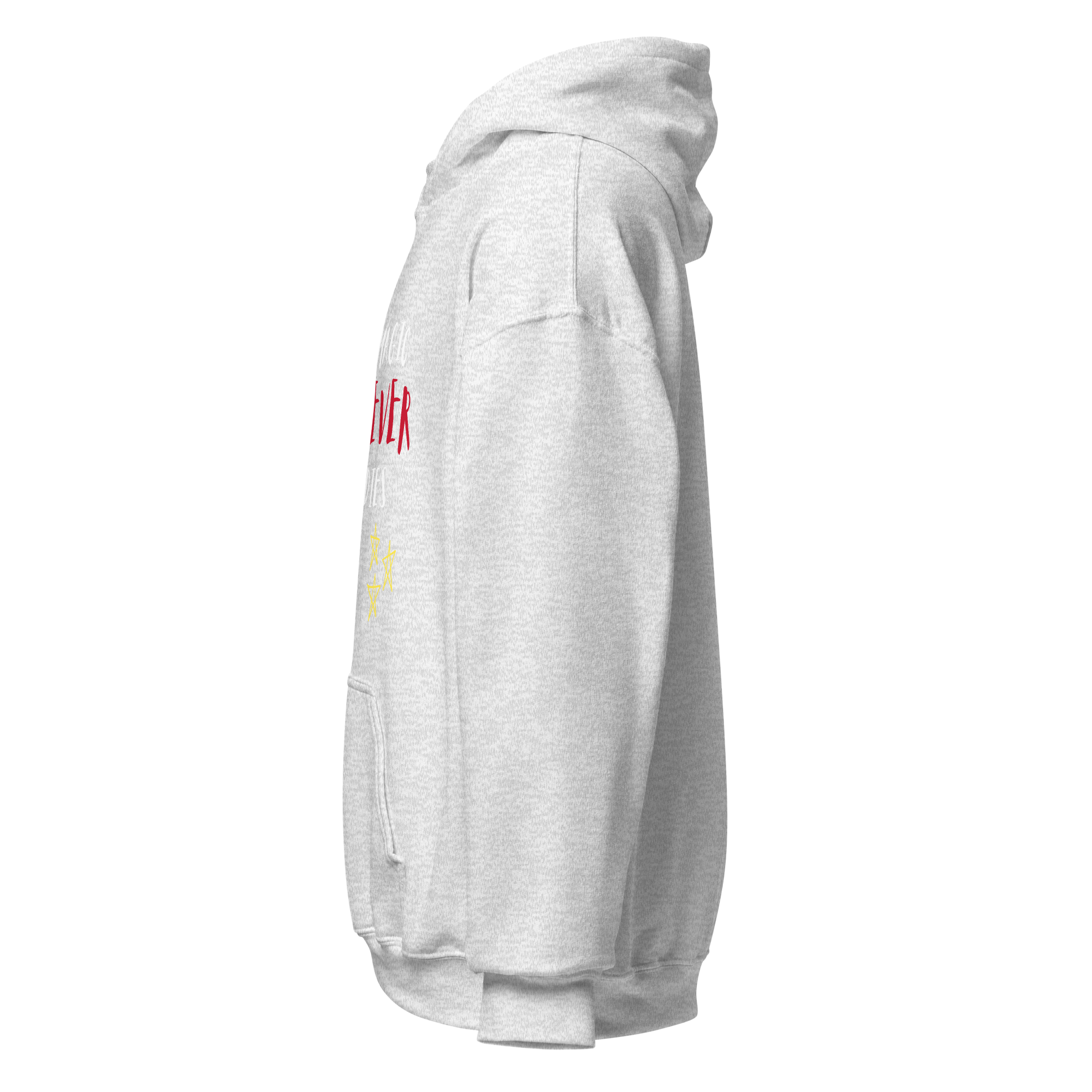 unisex-heavy-blend-hoodie-ash-left-6a975fbedeb57.png