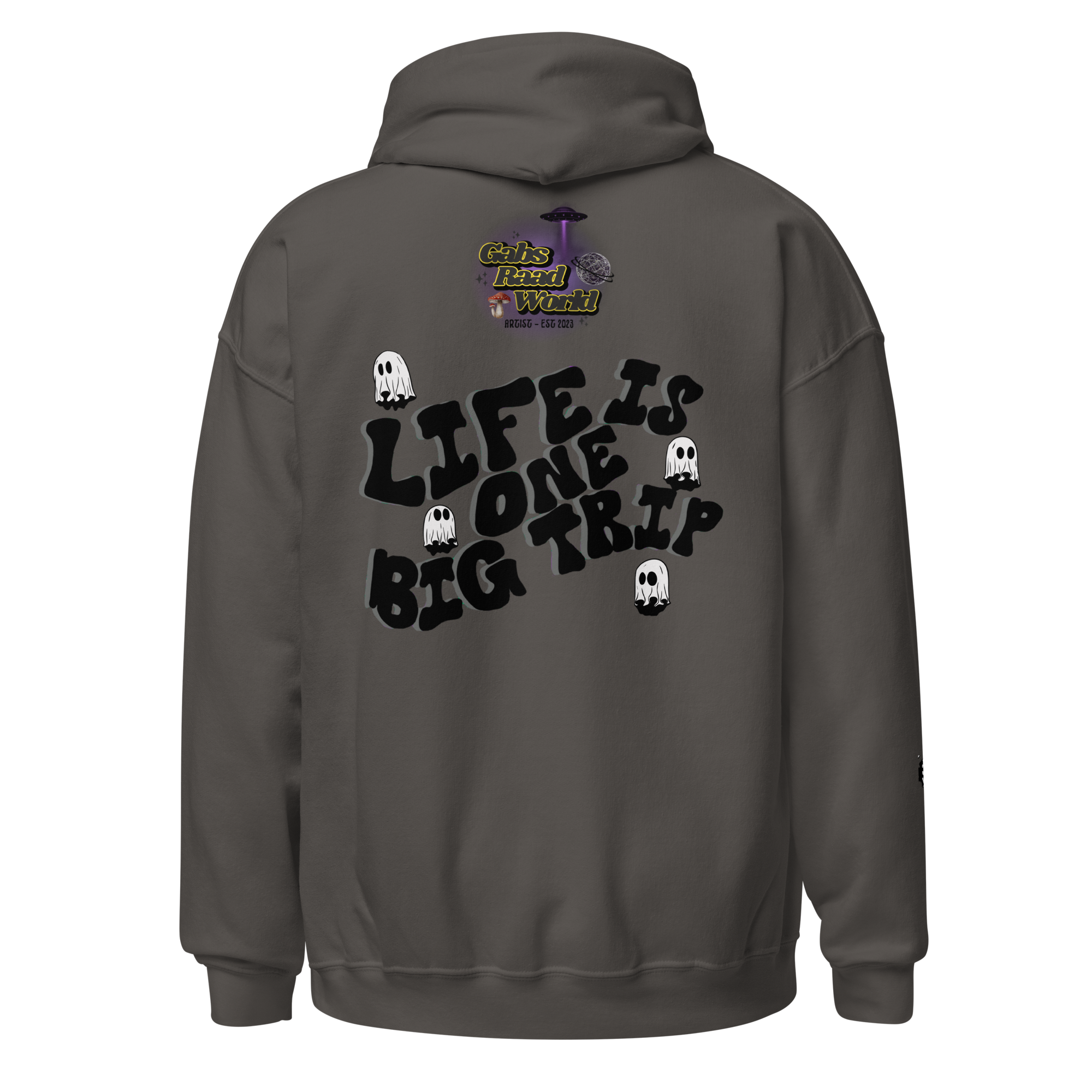 unisex-heavy-blend-hoodie-charcoal-back-6a975ddab65cf.png