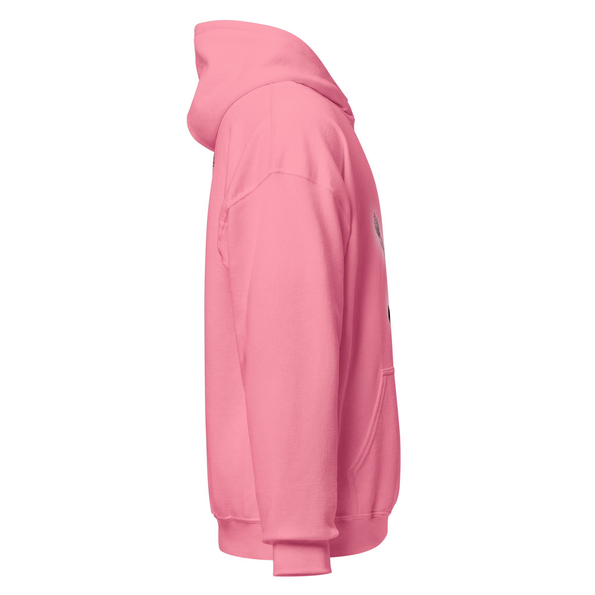 unisex-heavy-blend-hoodie-azalea-right-6a9765ecee903.png