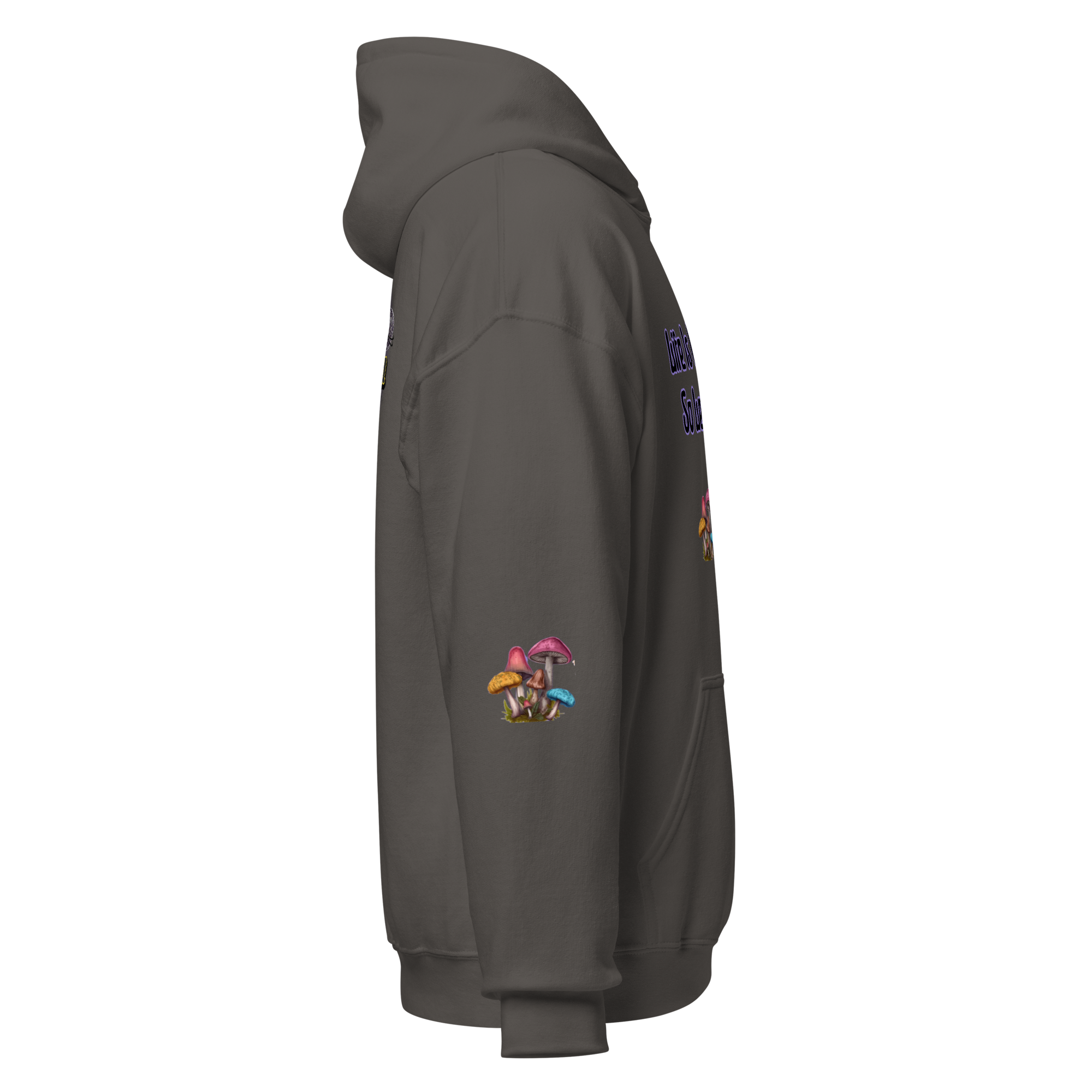 unisex-heavy-blend-hoodie-charcoal-right-6a97668f12f1c.png