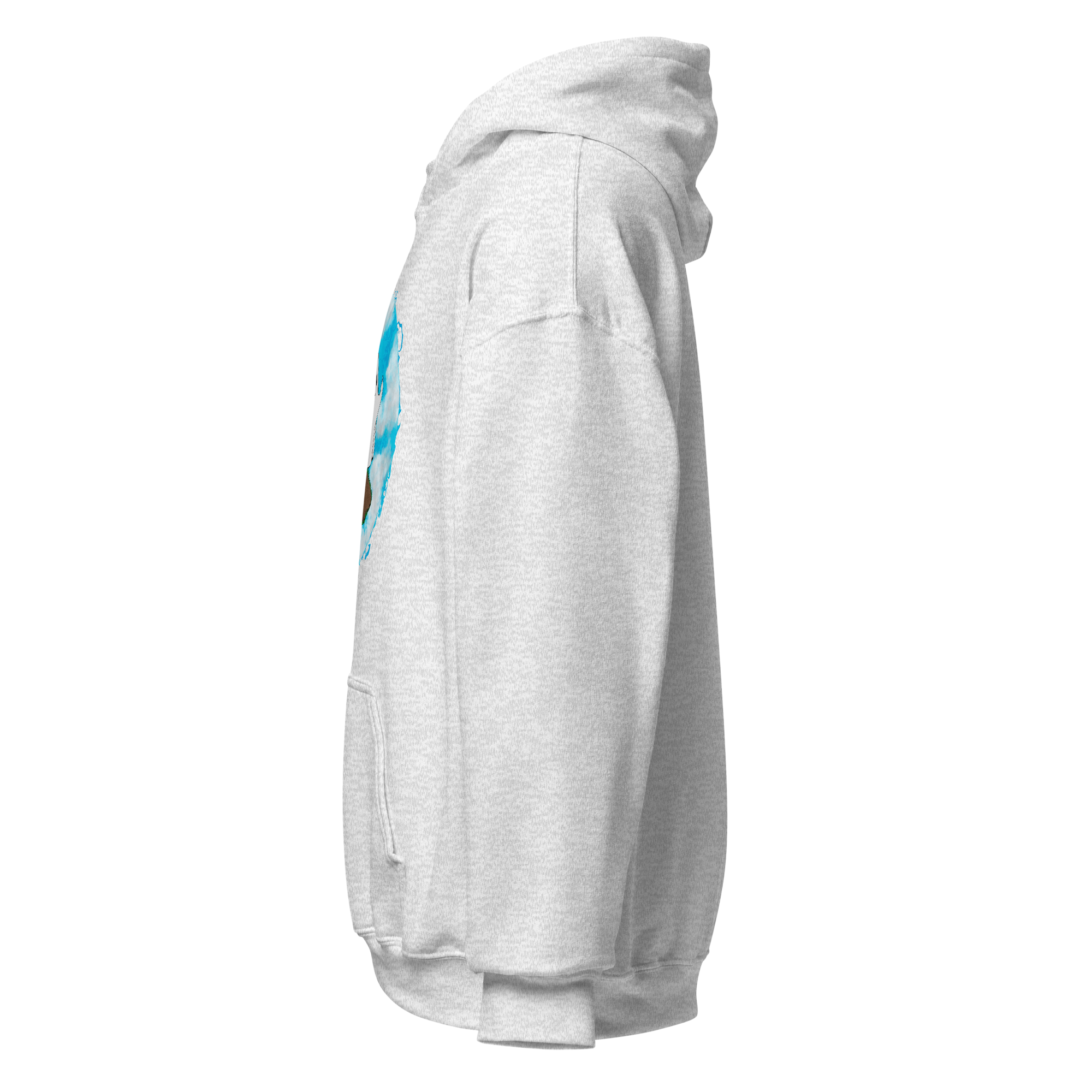 unisex-heavy-blend-hoodie-ash-left-6a976242d3d54.png